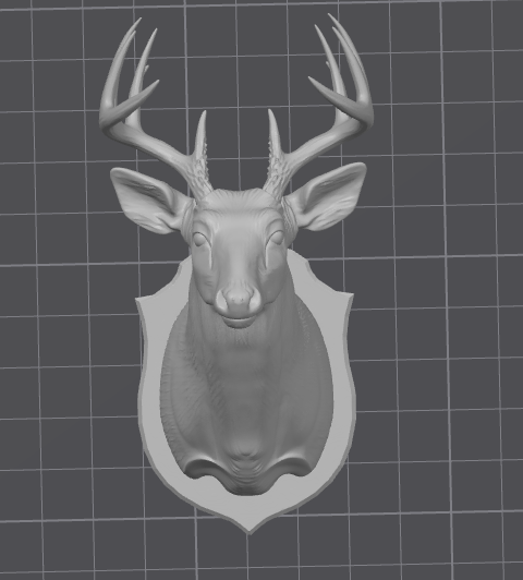 10 point buck shoulder mount