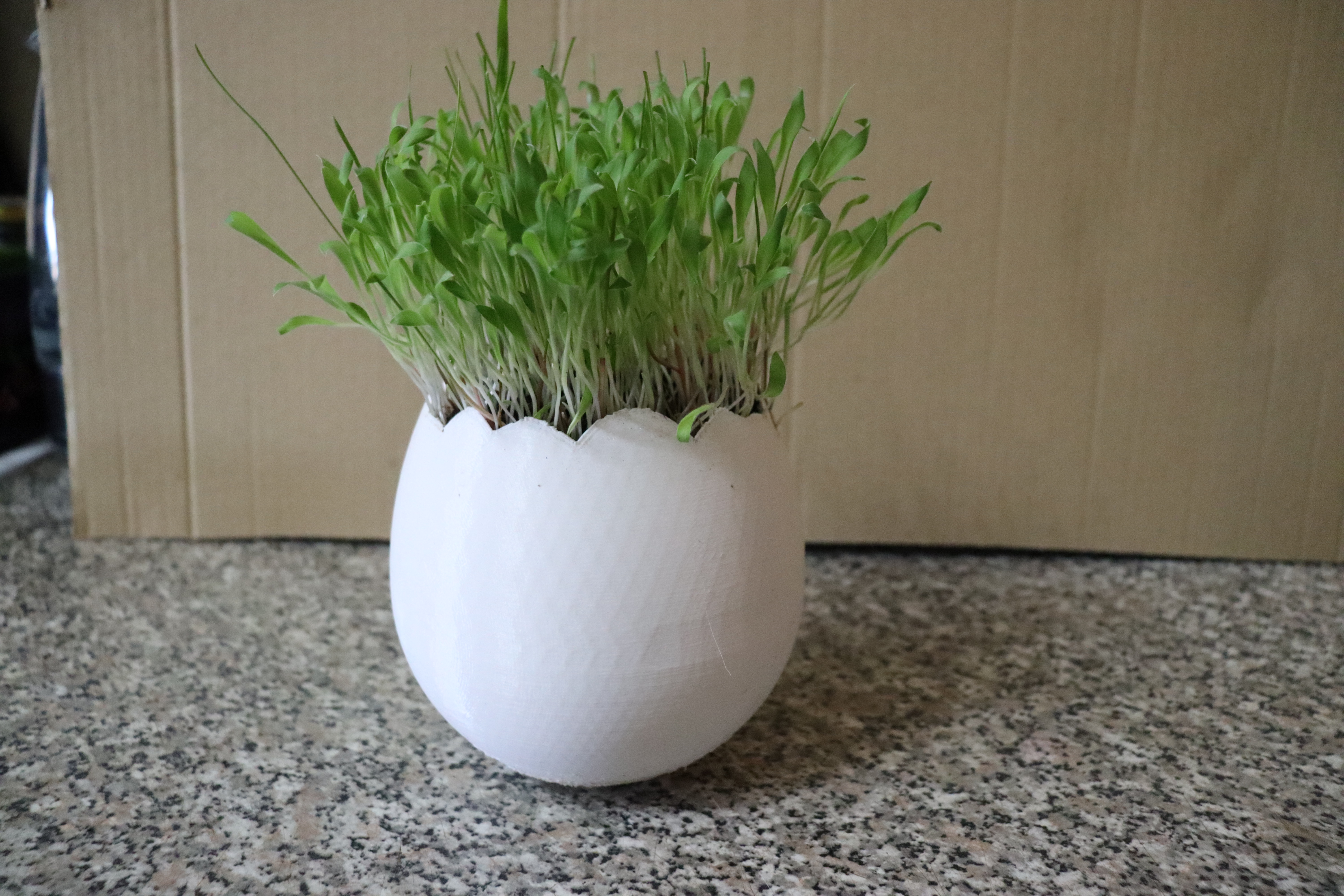 Cracked egg planter