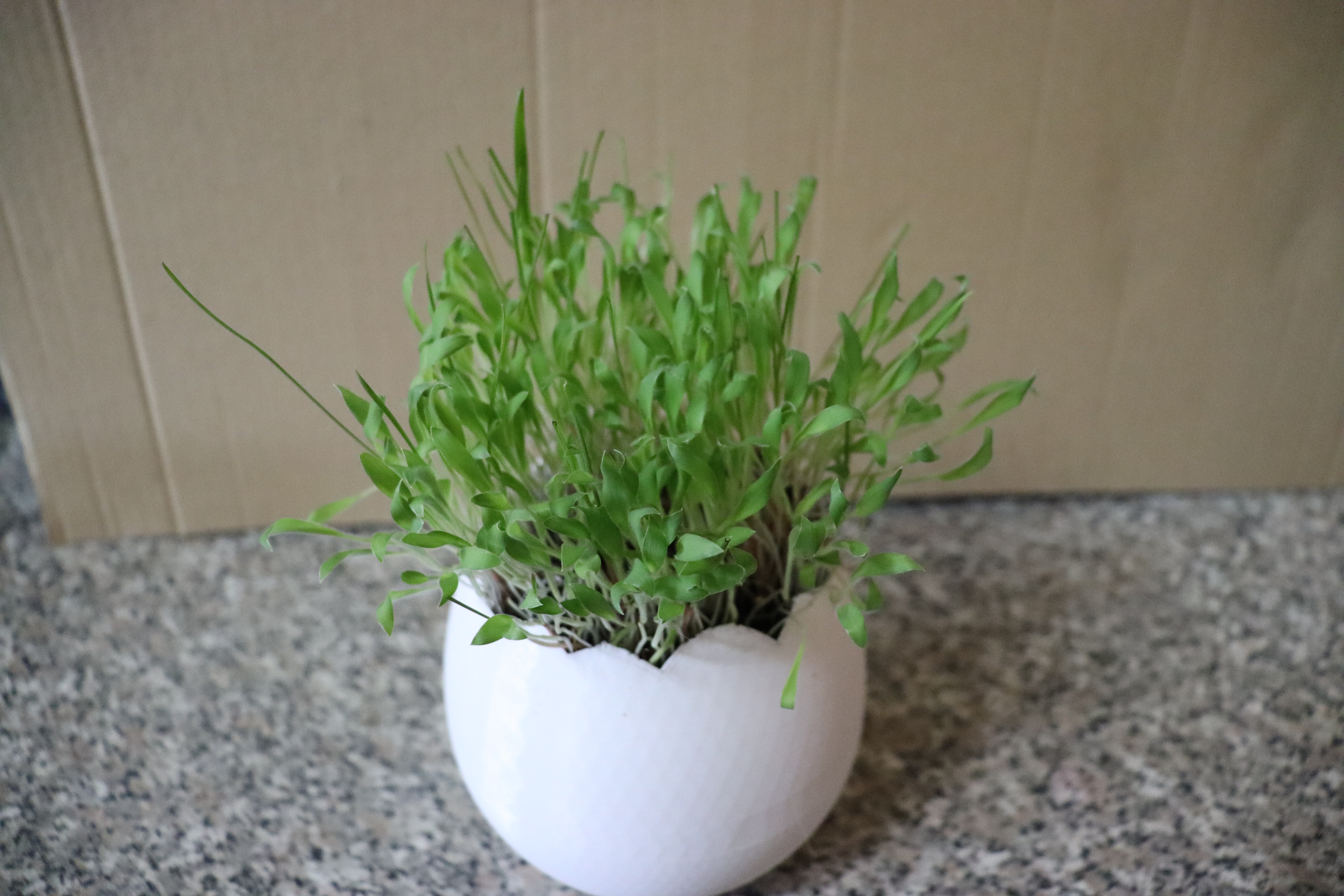 Cracked egg planter — thumbnail 2