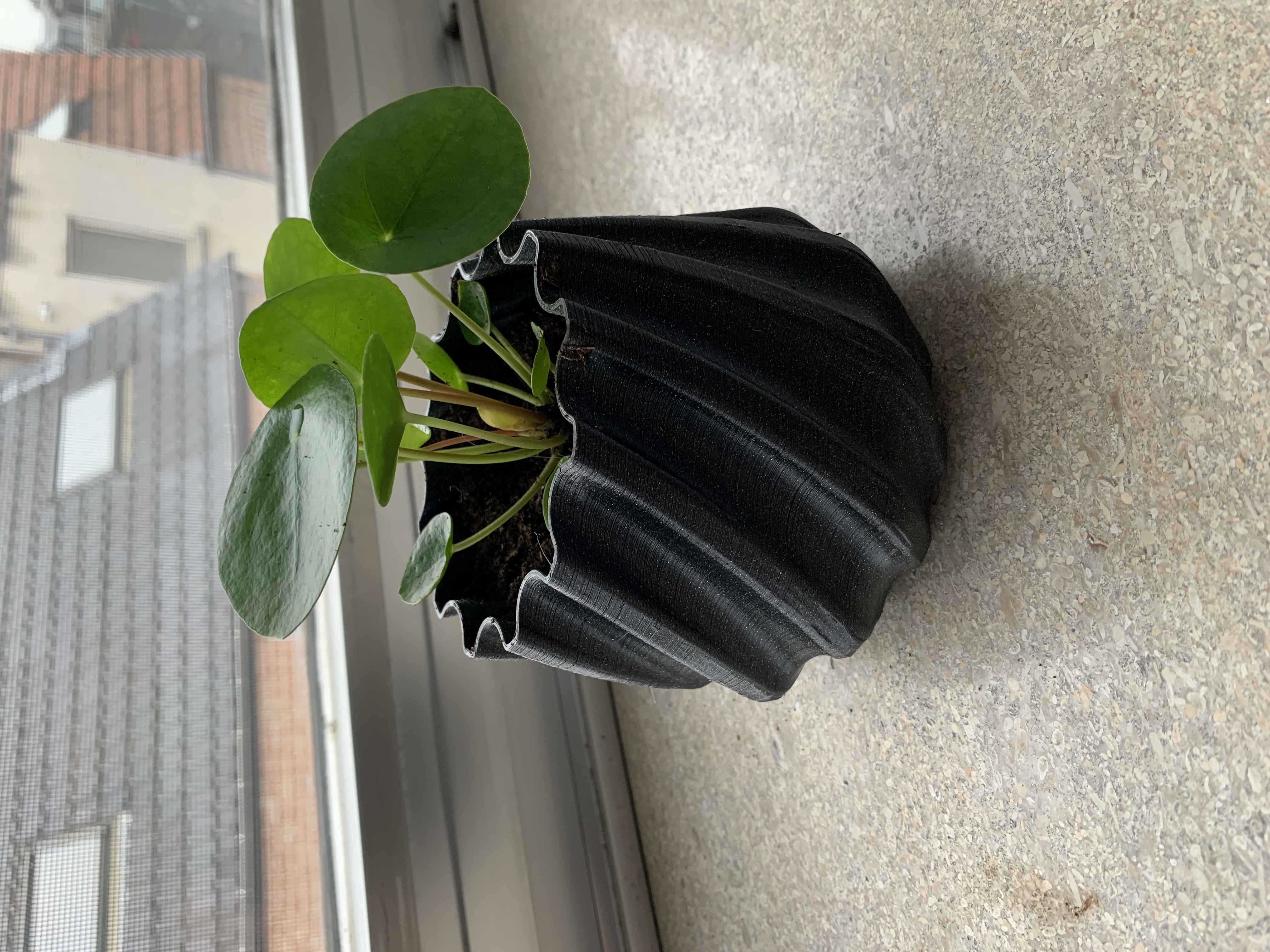 Twisted planter with integrated water reservoir ( onepiece _ No support)