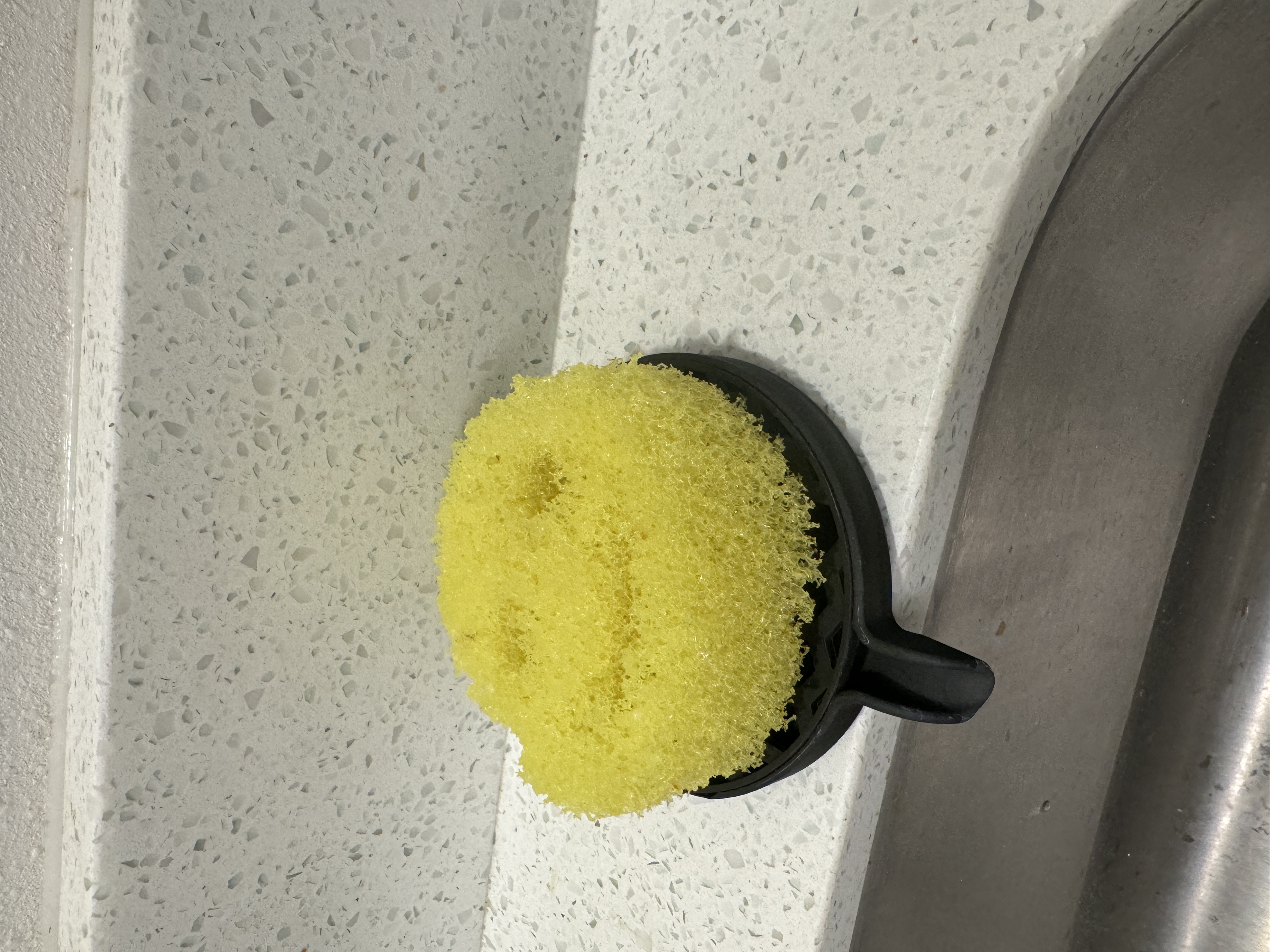 Scrub Daddy Drain
