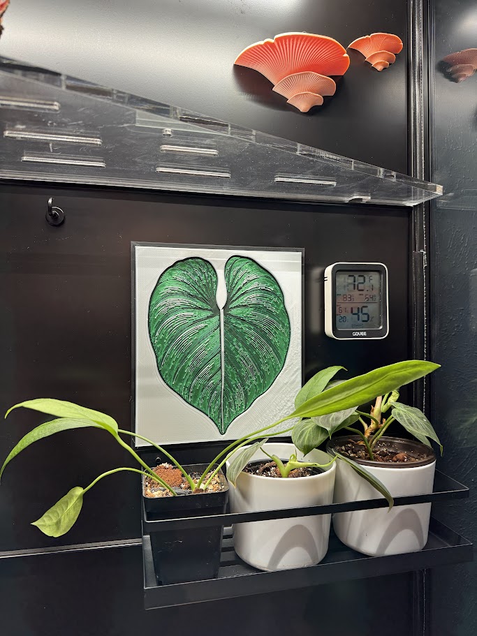 Ikea Greenhouse - Wall Art - 3D Painting - Philodendon - Rudsta - Magnet Holes