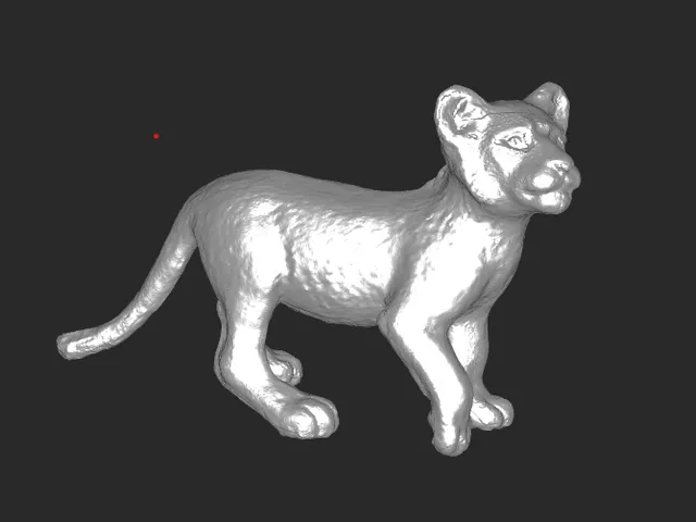 Lion cub