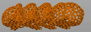 Tardigrade_voro