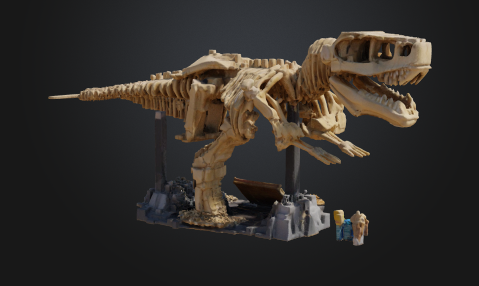 Dinosaur skeleton