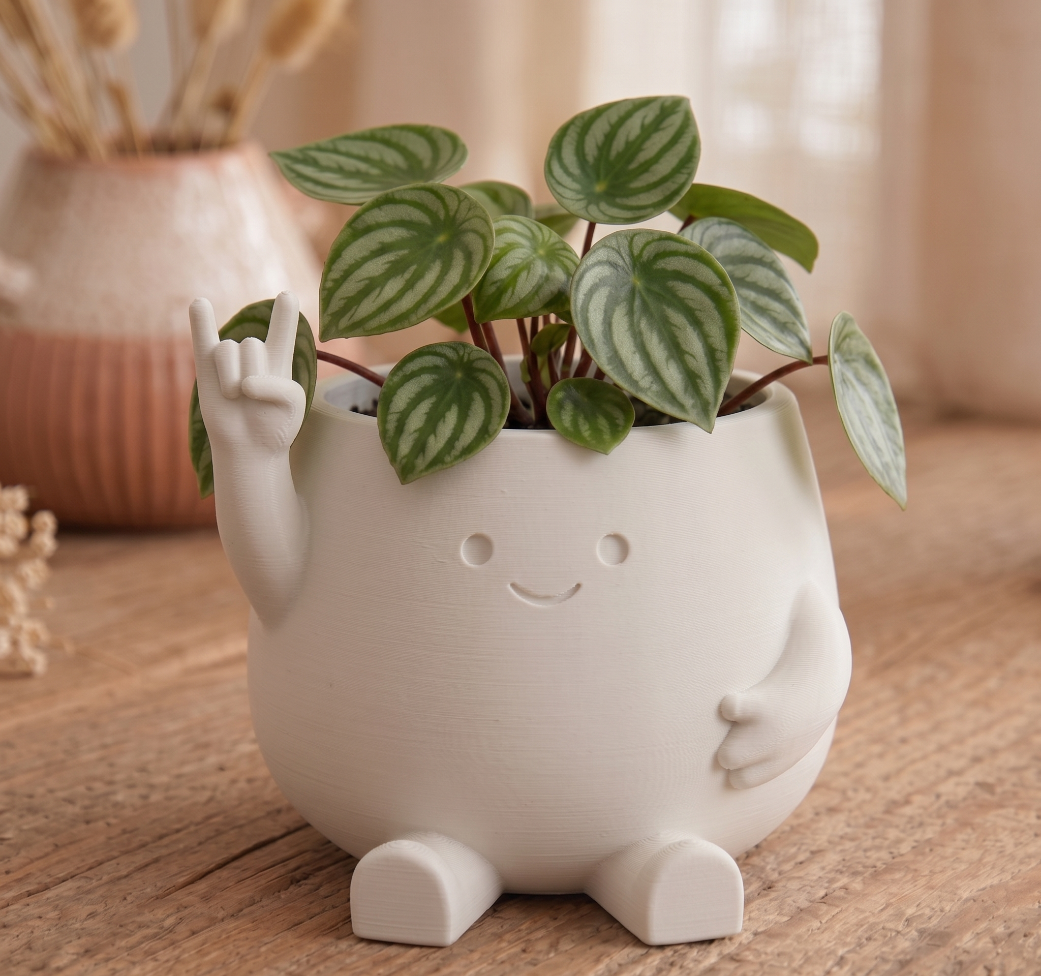 Rock Pot - Cute Smiley Face Planter
