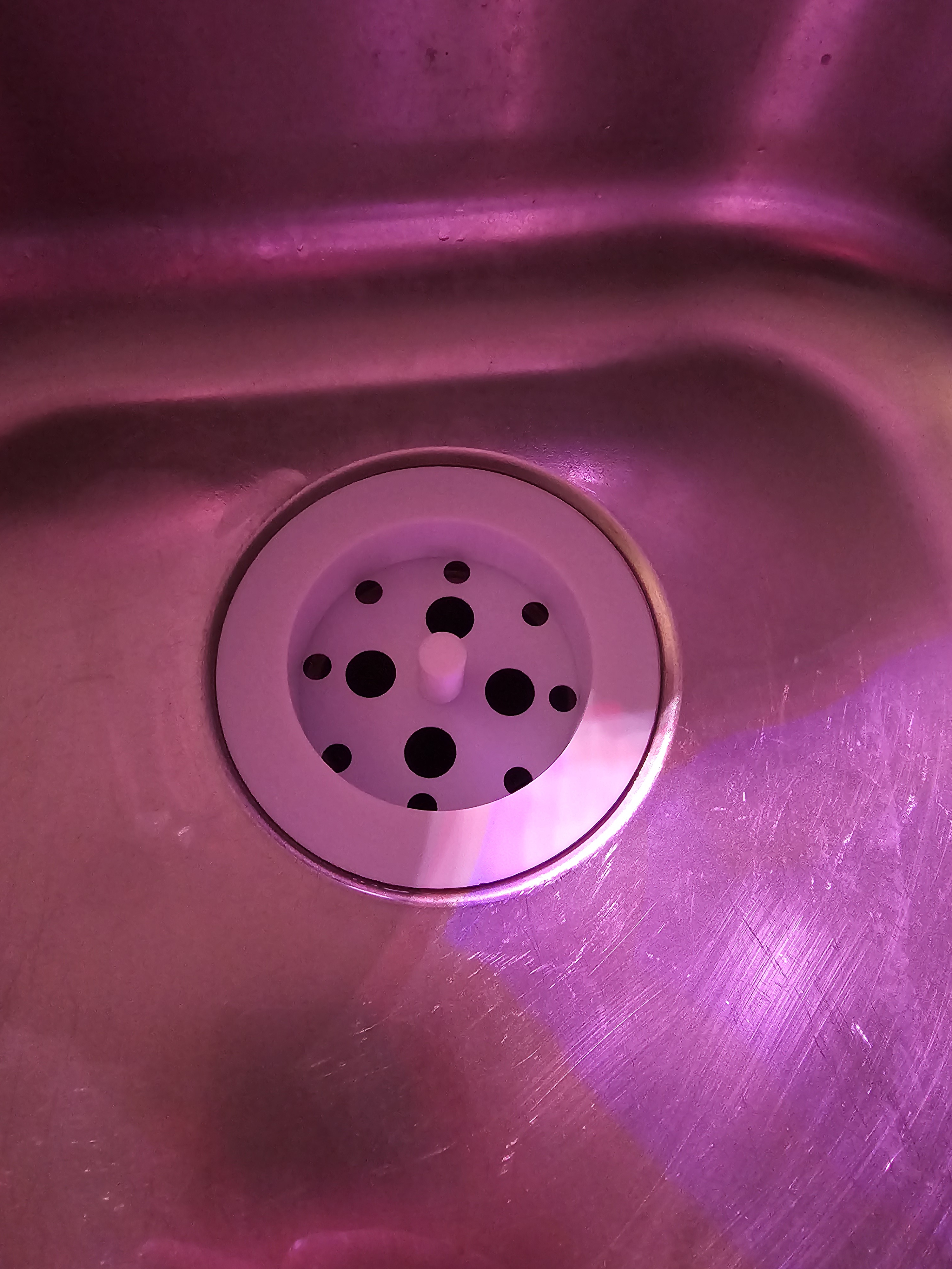 Garbage Disposal Drain Cover by Ron Brown Download free STL model