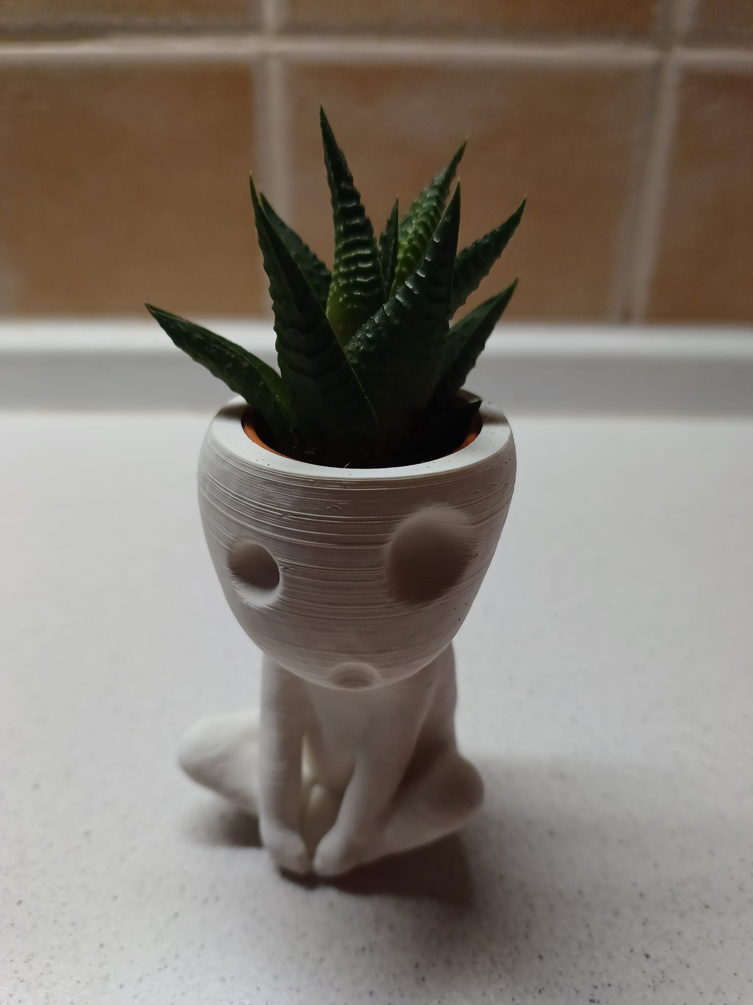 Kodama planter with hole for IKEA Haworthia succulent