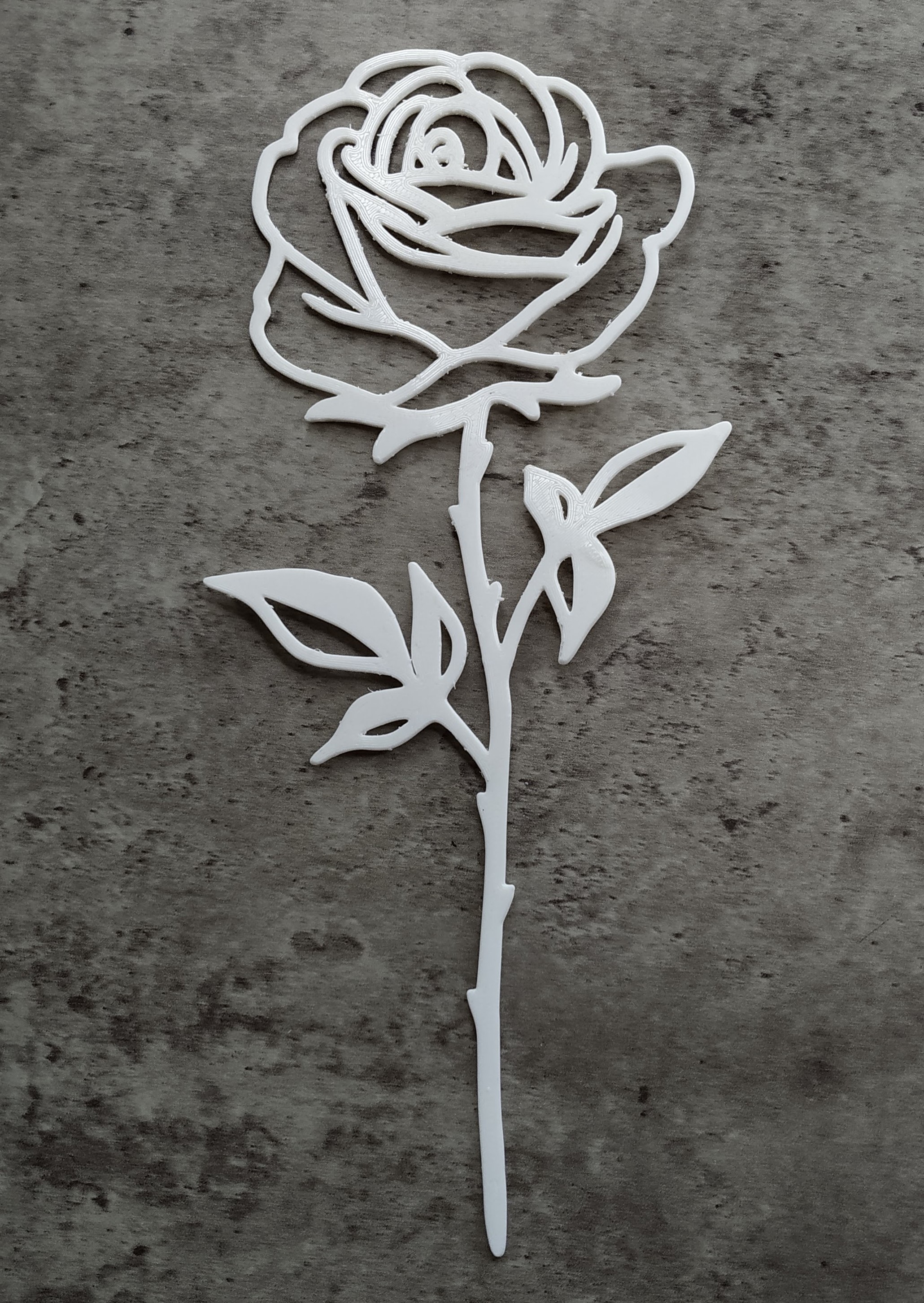 International Women's Day / Valentine's Day Rose - 12