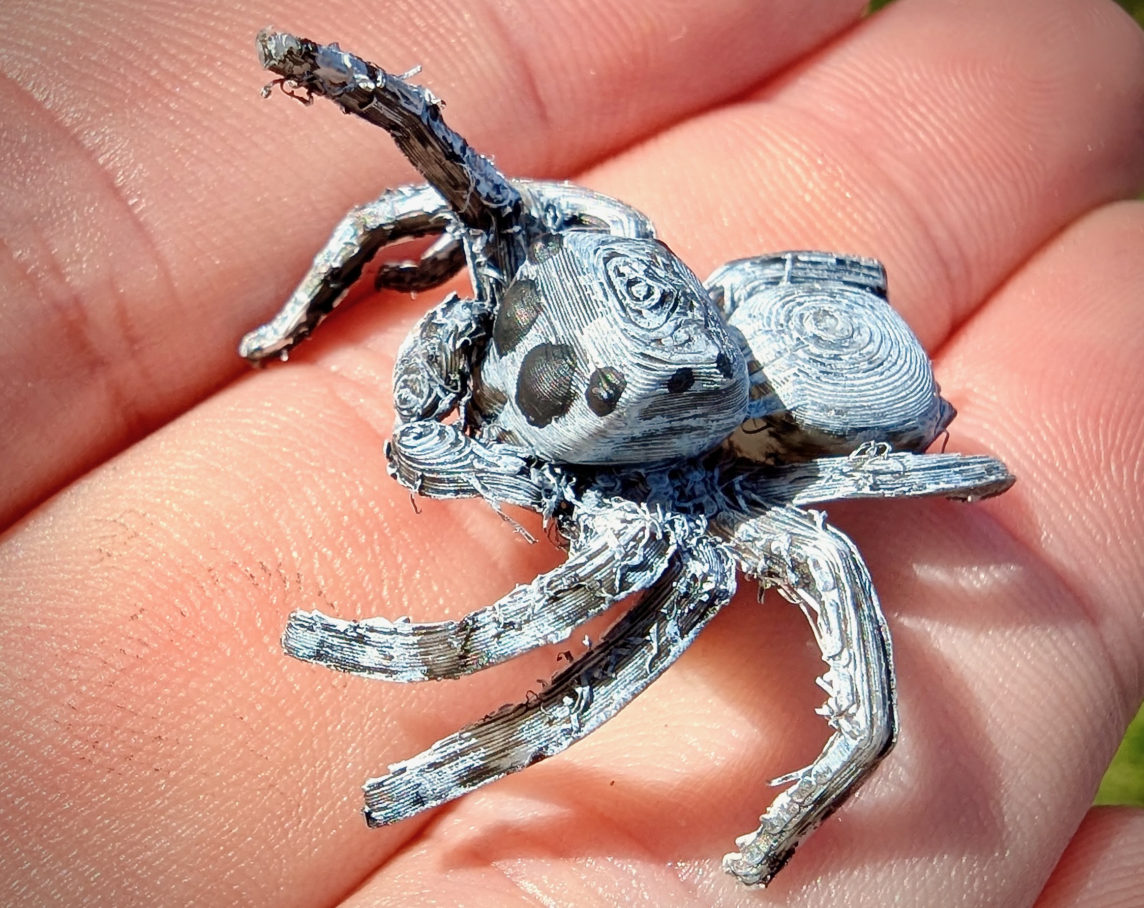 Jumping Spider — miniatura 4