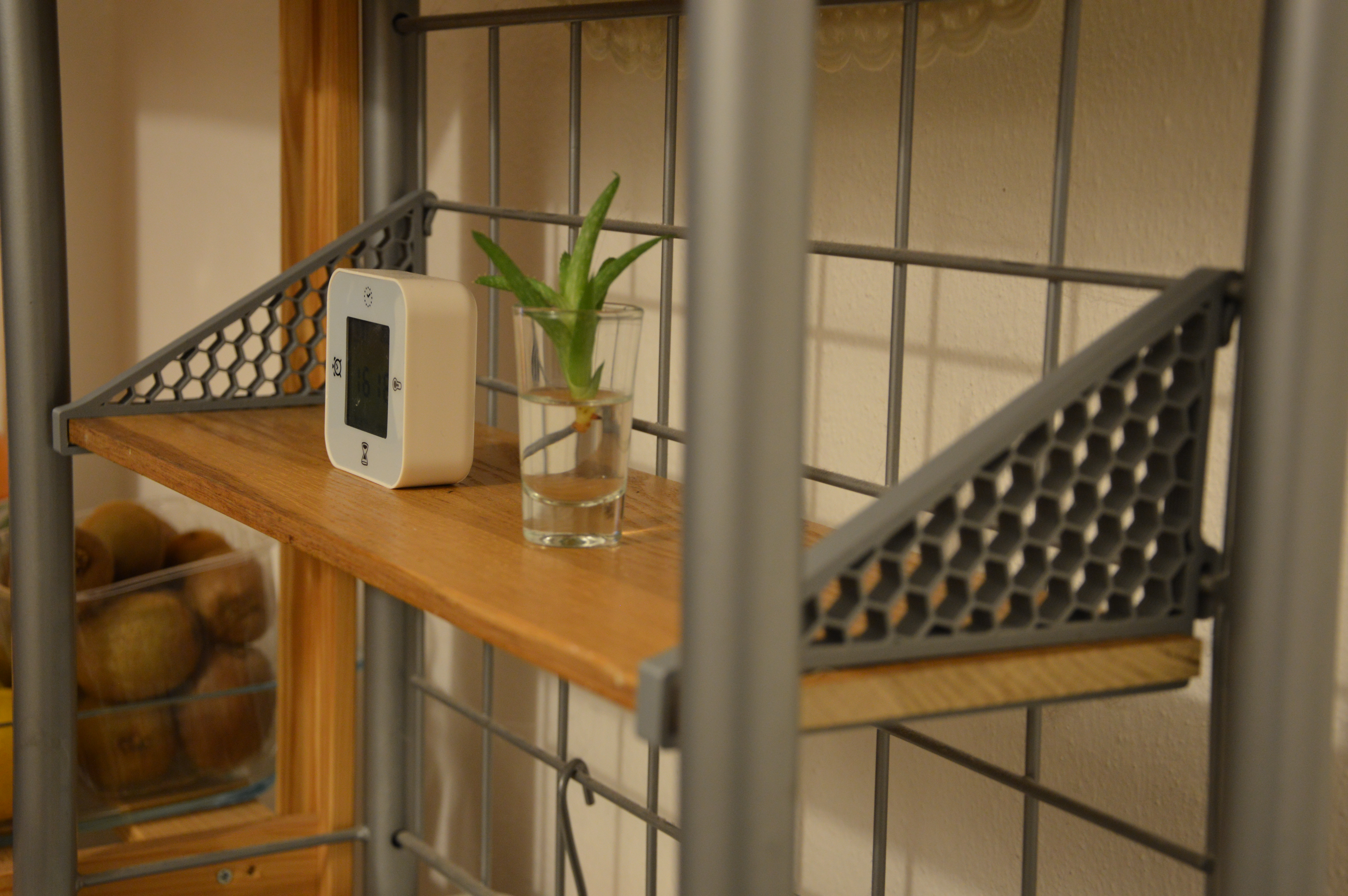 Shelf