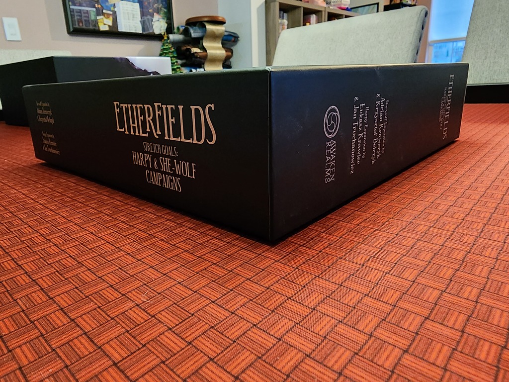 Miniatura 10 do modelo 3D Etherfields - Expansions Insert