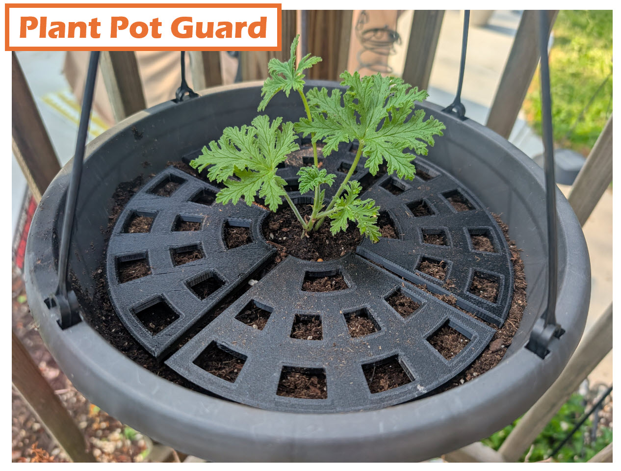 Plant Pot Guard