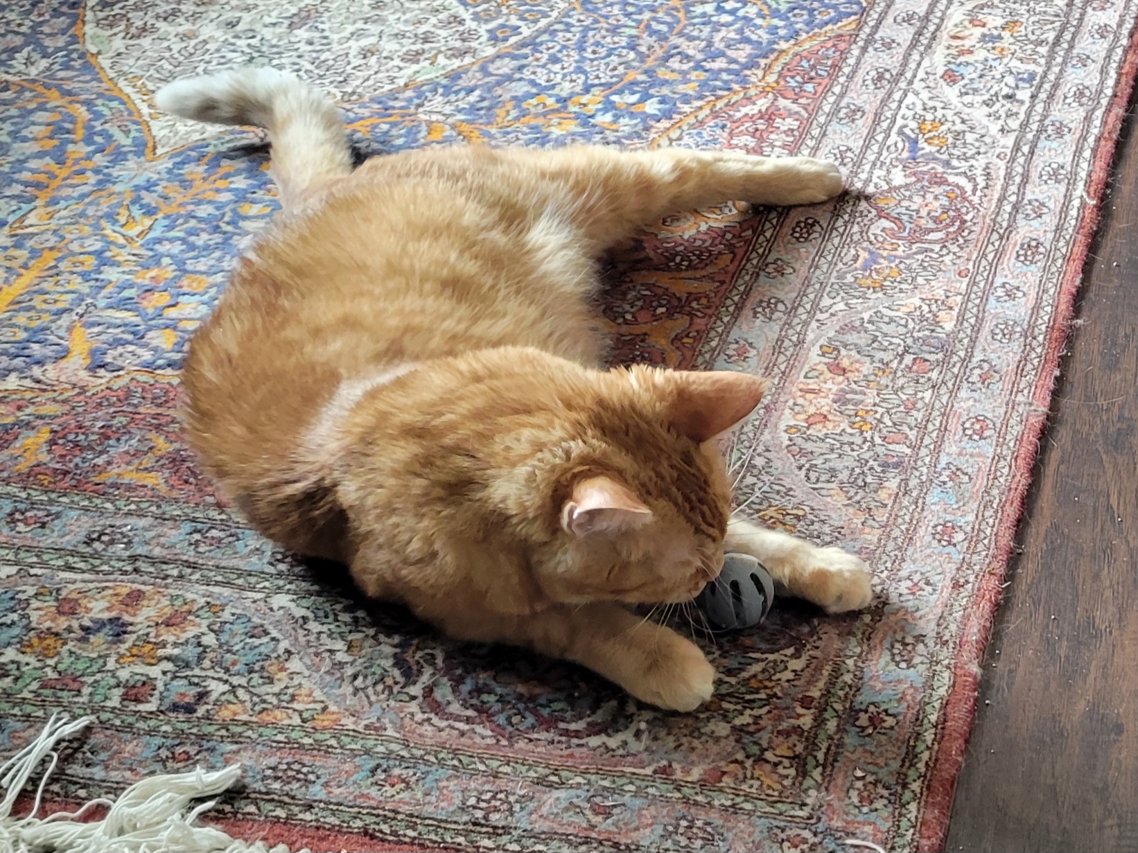 Cat Toy - Ball in Ball