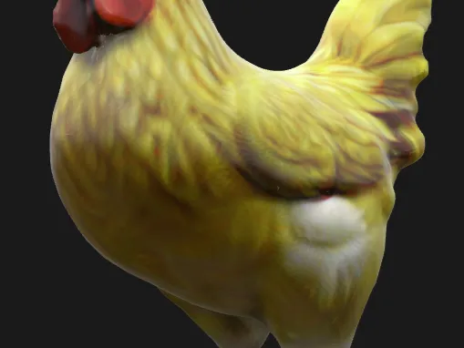 Rooster