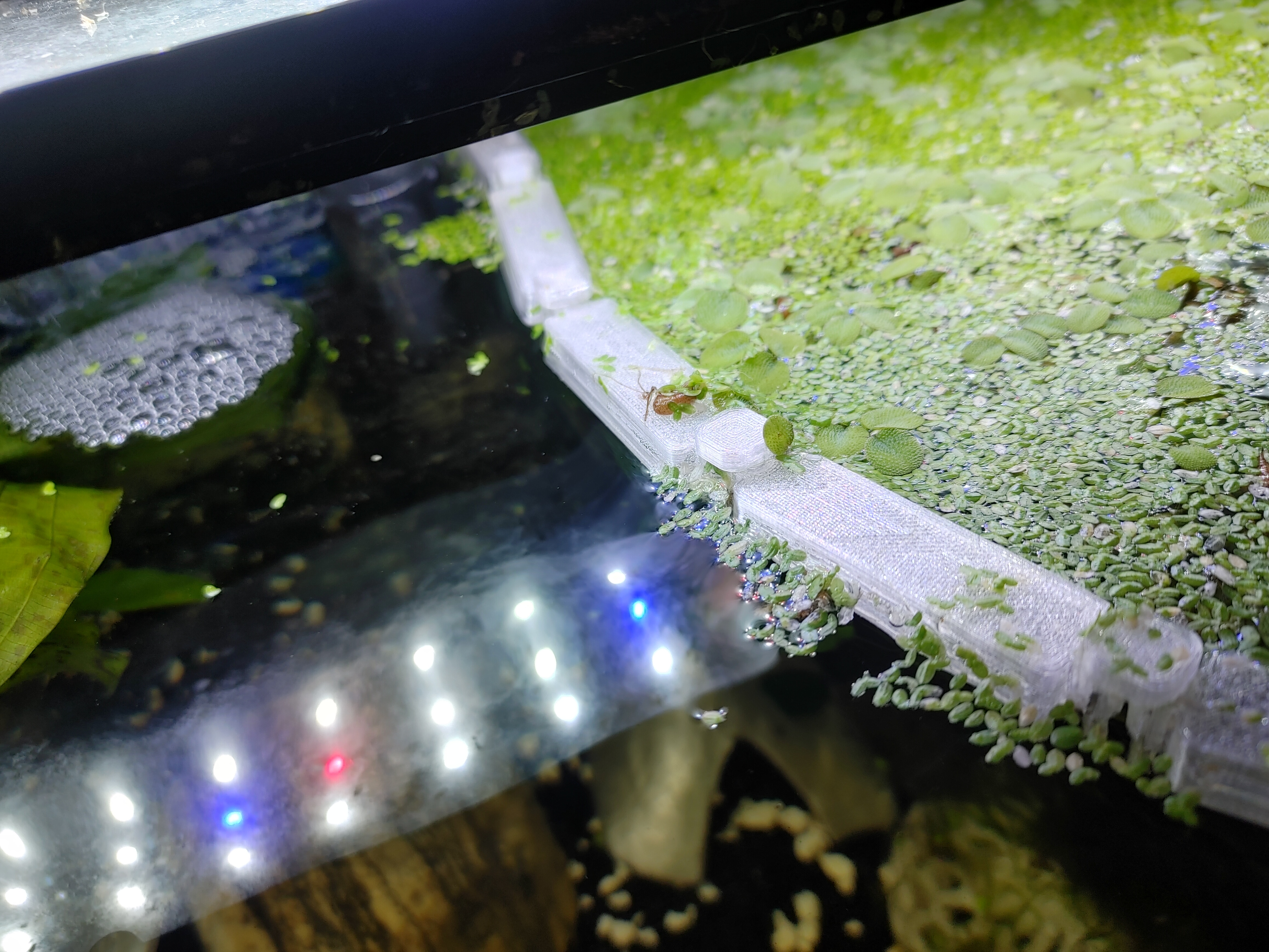 Aquarium Floating Plant Barrier