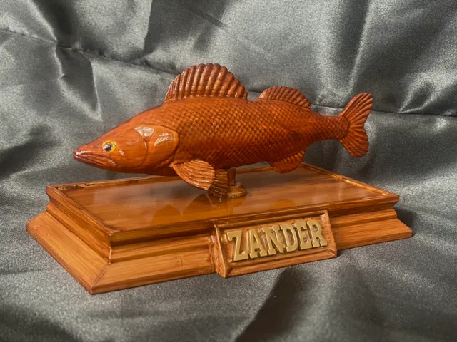 Zander Fish Model with Box Base