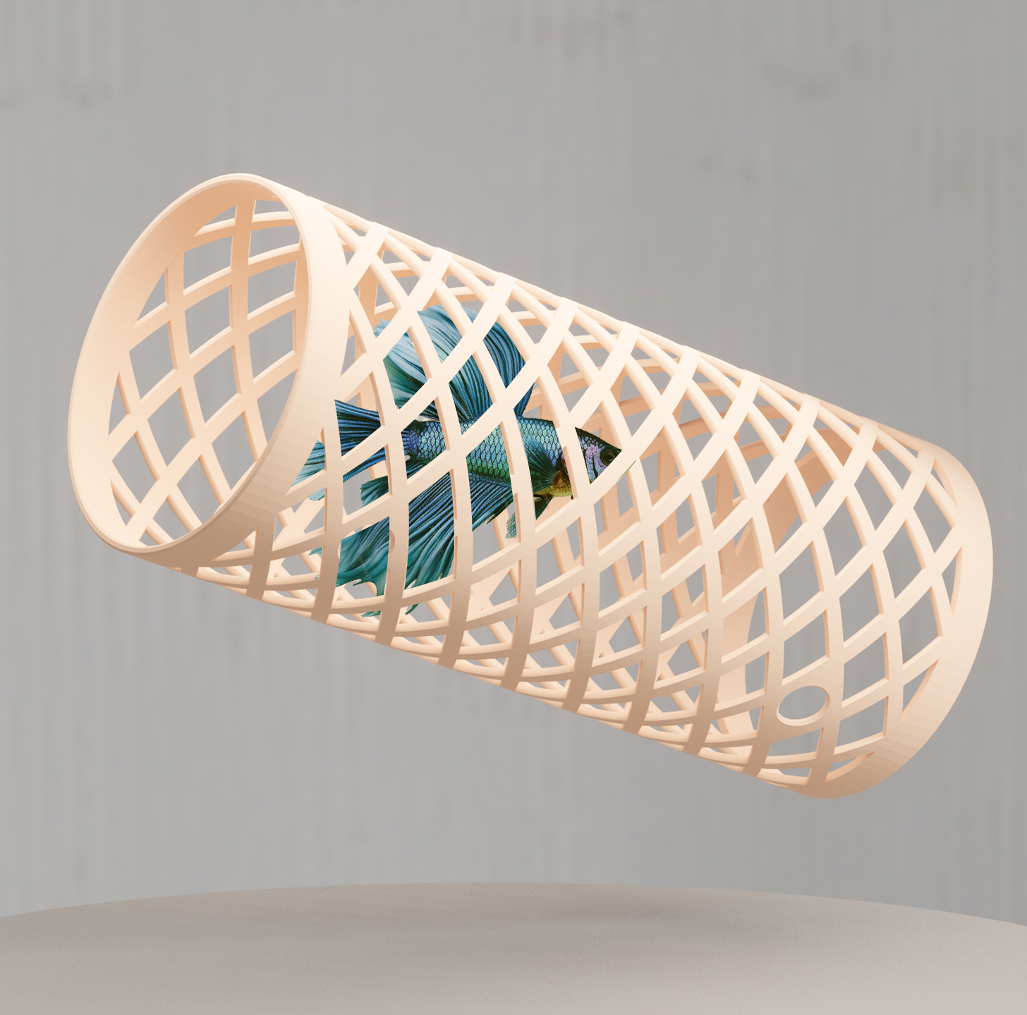 Miniatura 2 do modelo 3D Betta fish tunnel