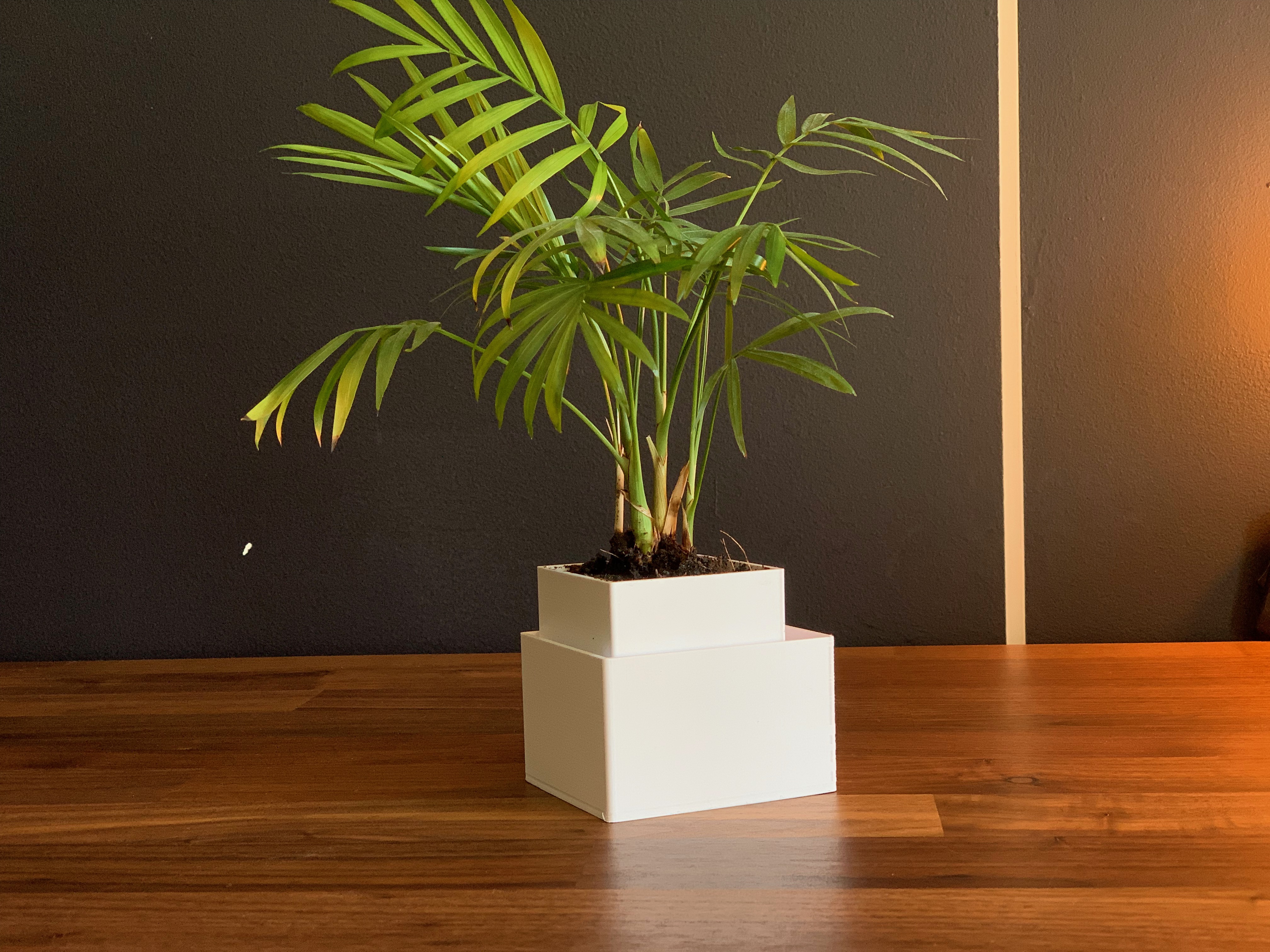 Self-Watering Planter (Square)