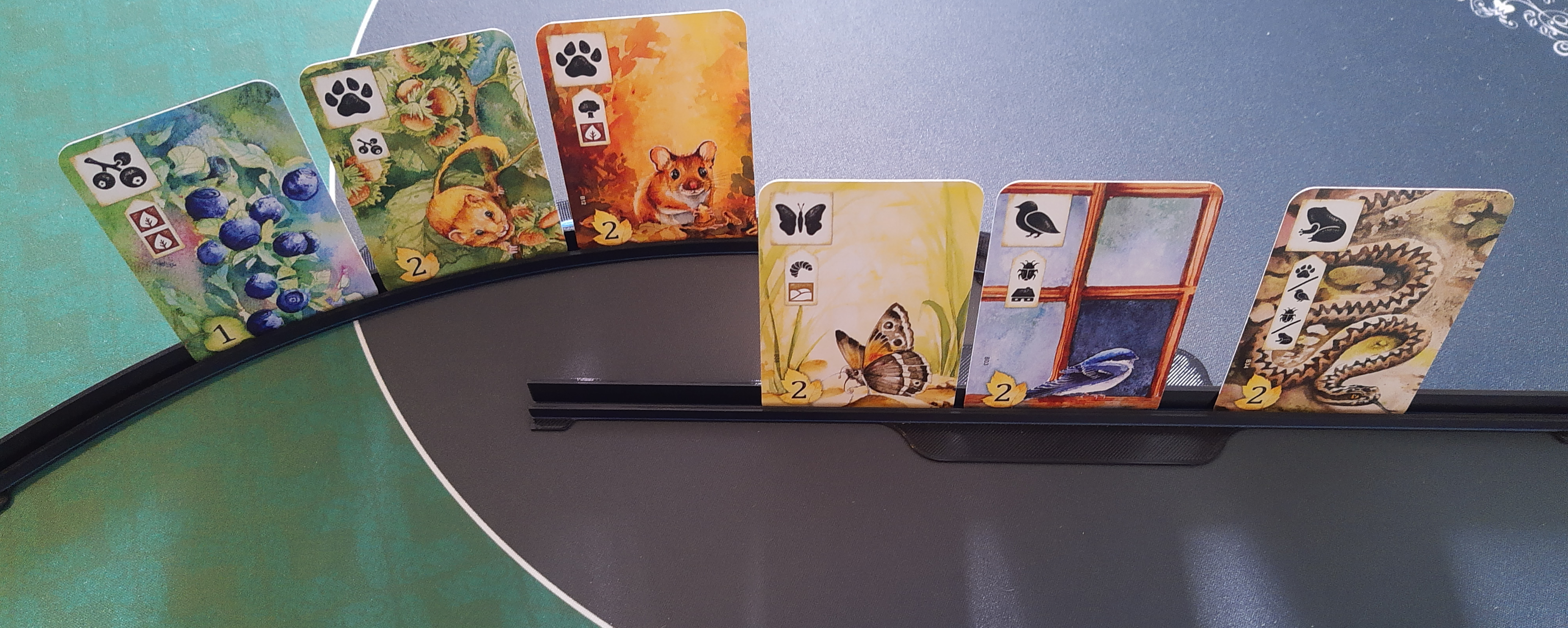 Card Holder with or without name (editable)