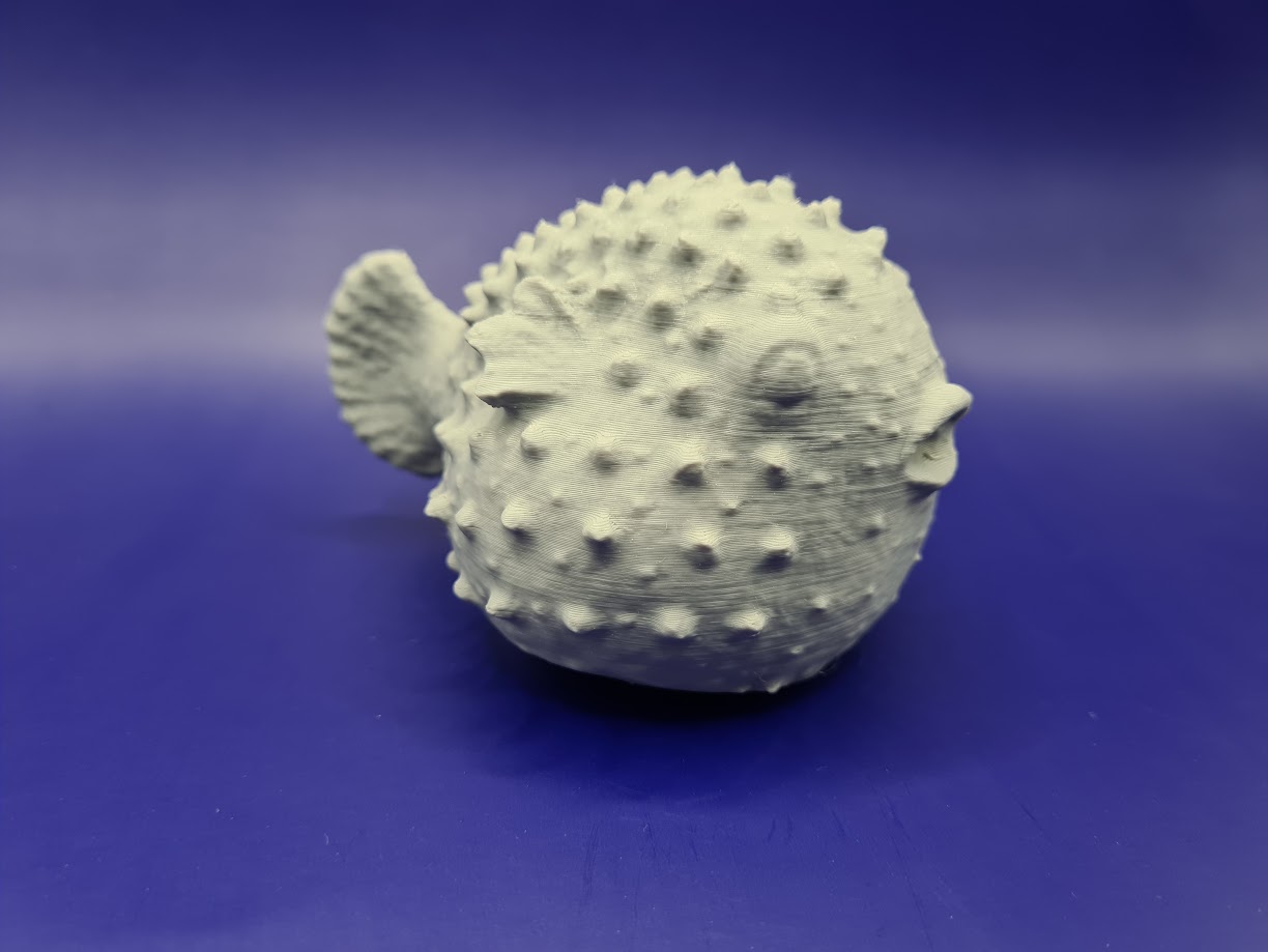 Miniatura 4 do modelo 3D Blowfish