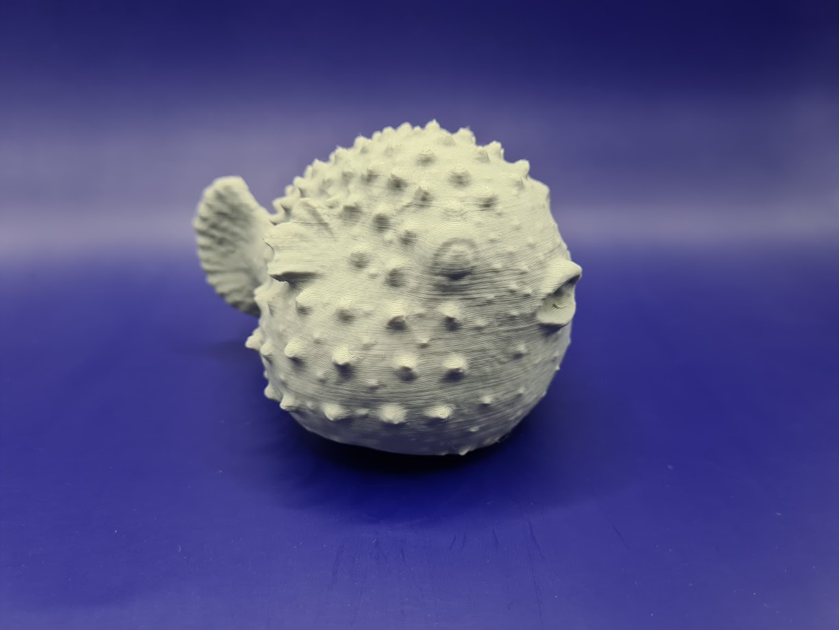 Miniatura 3 do modelo 3D Blowfish