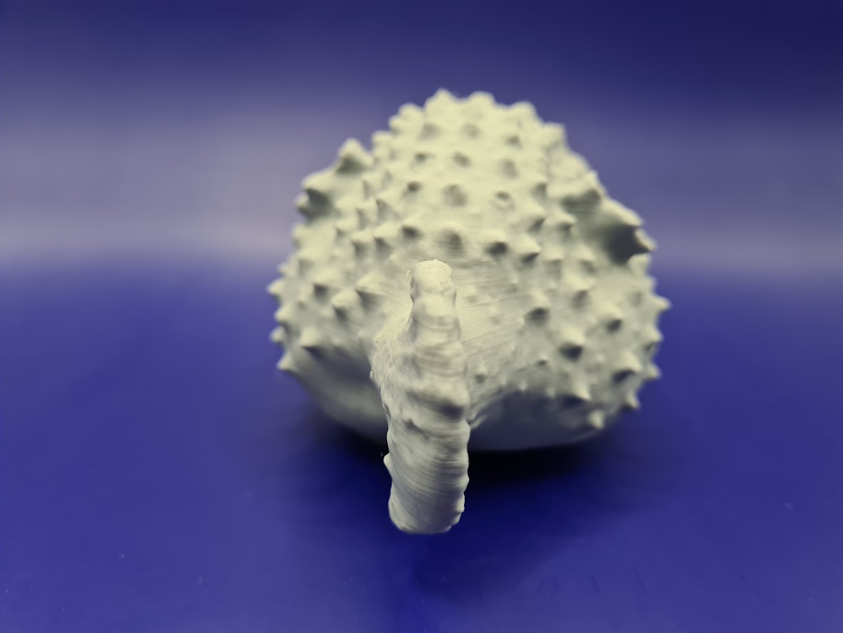 Miniatura 6 do modelo 3D Blowfish