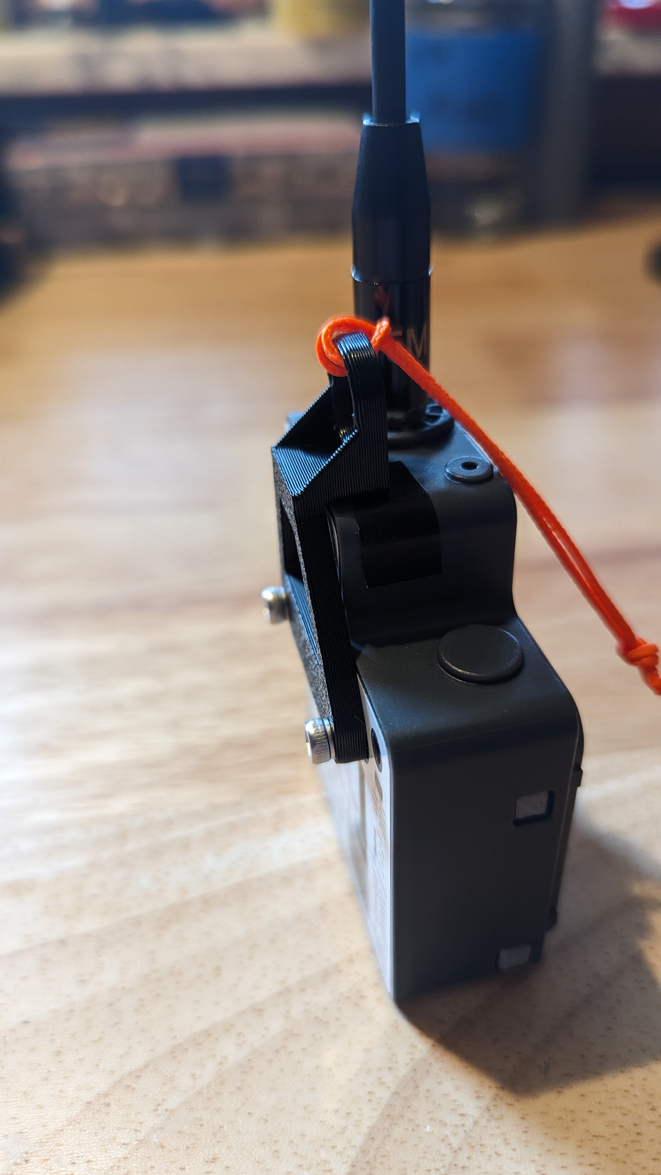 TEcho Lanyard Mount by Atlas 2.0 Download free STL model
