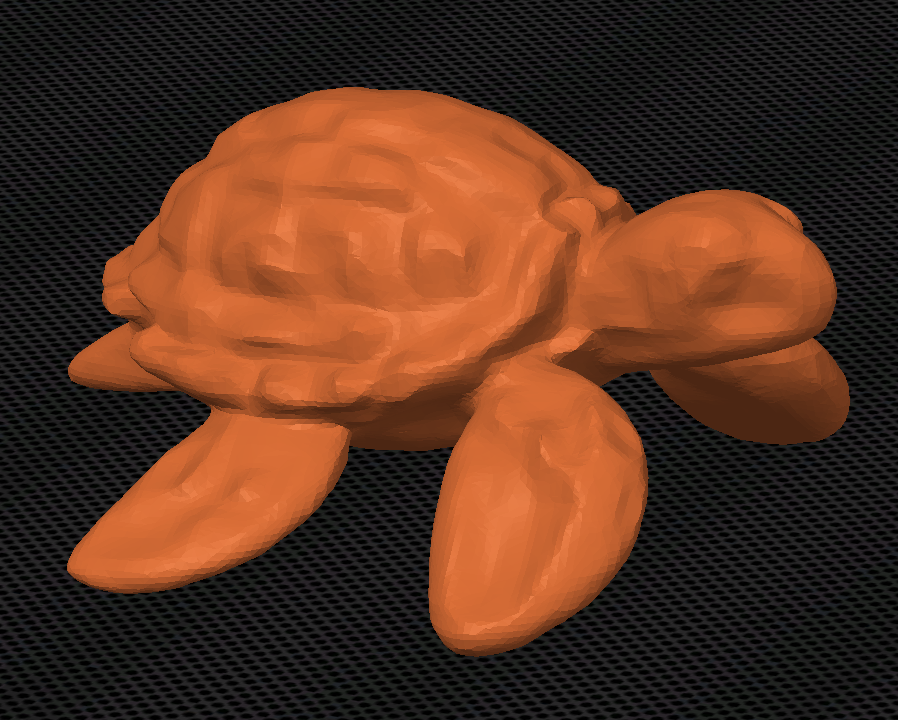 Sea Turtle