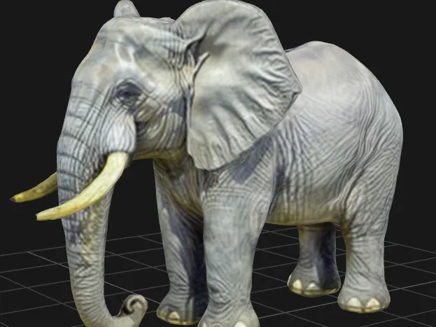 African Elephant Bull
