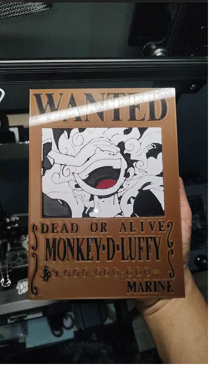 cartas de procurado luffy