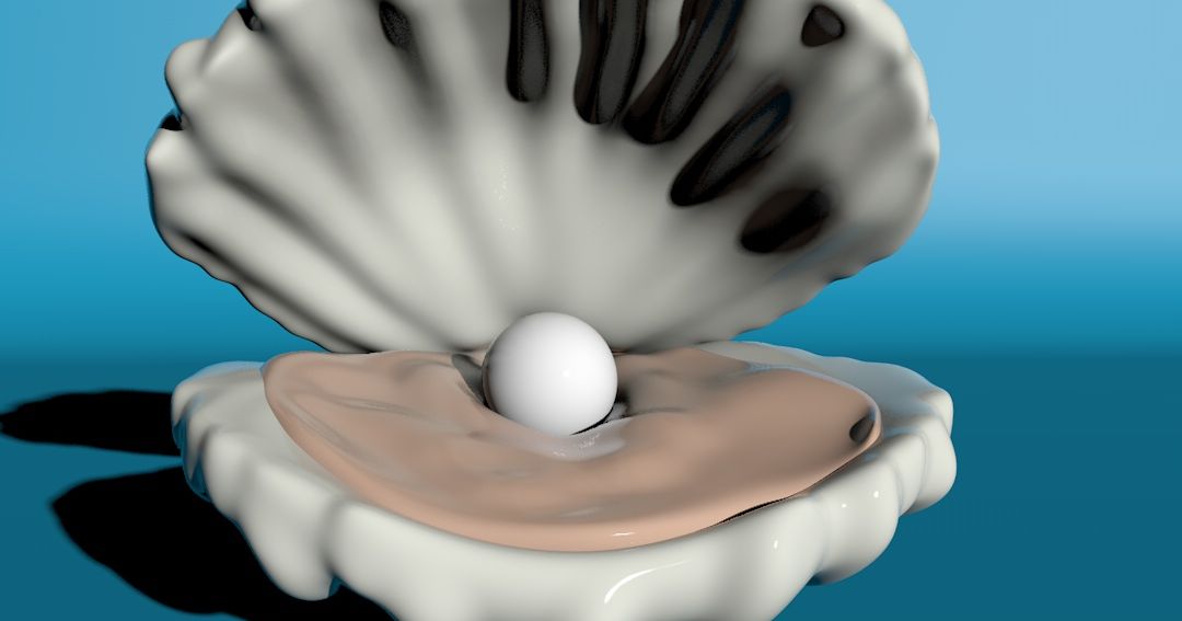 Shell by Dark Heaven | Download free STL model | Printables.com