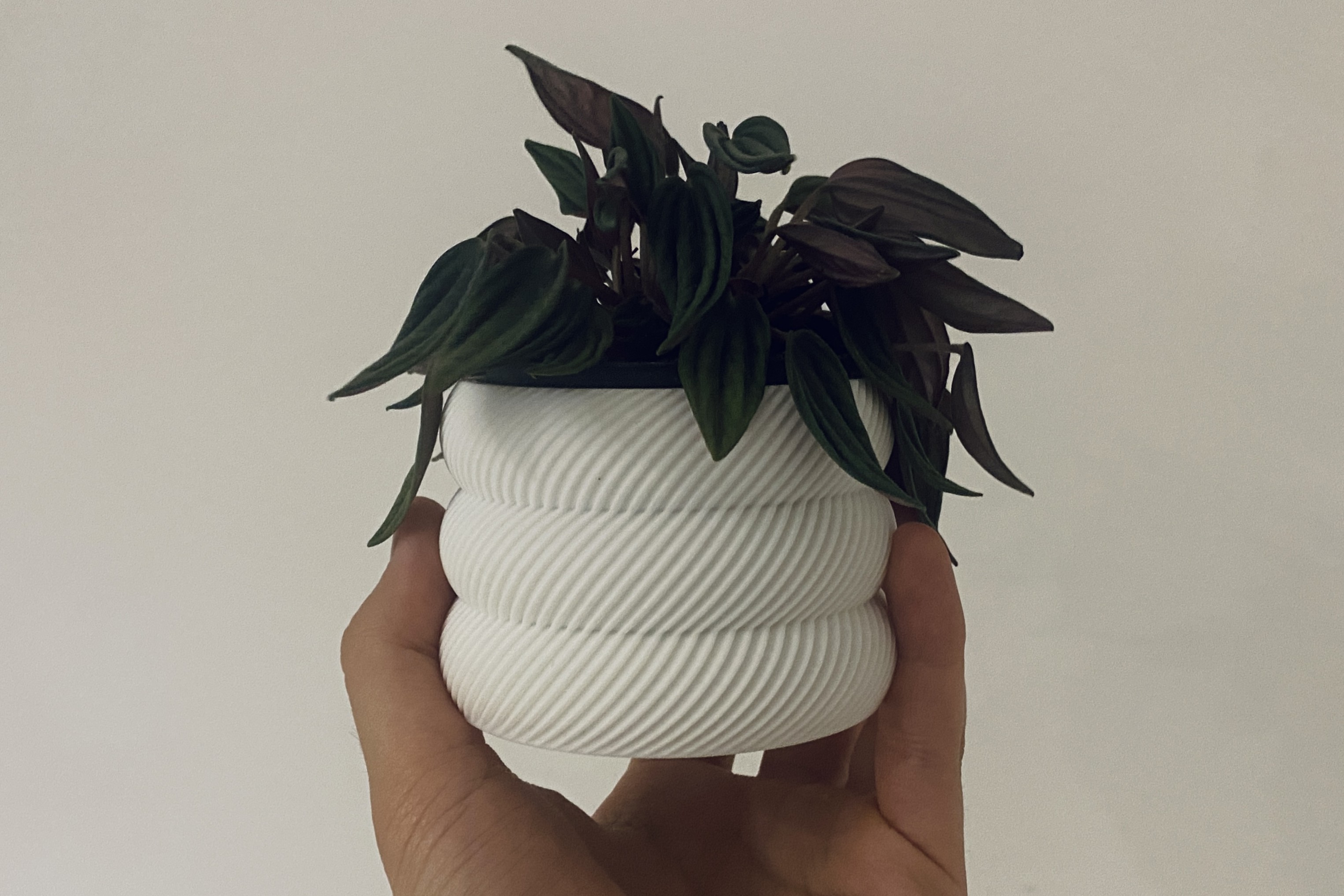 Wavy planter