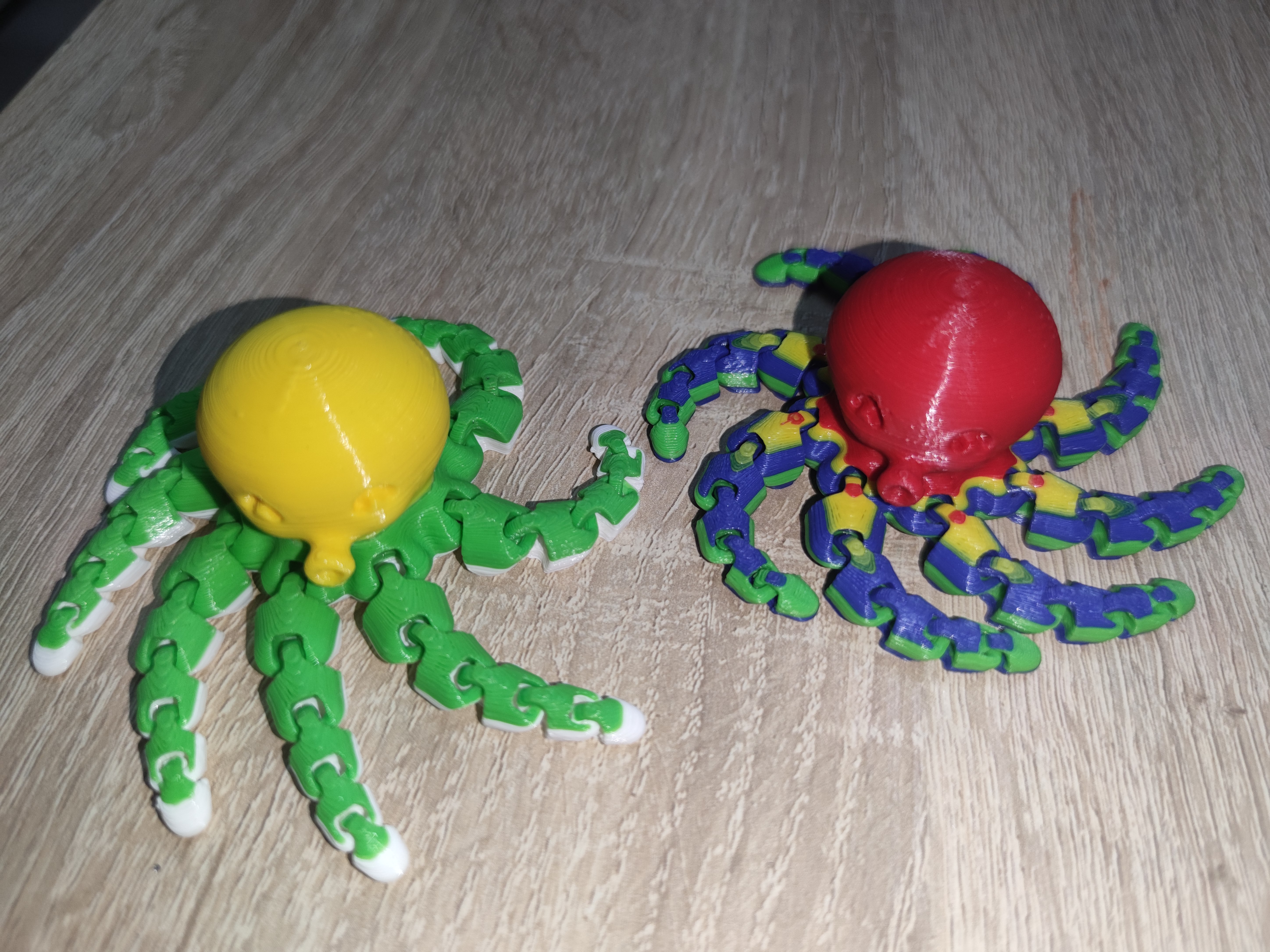 Cute Mini Octopus