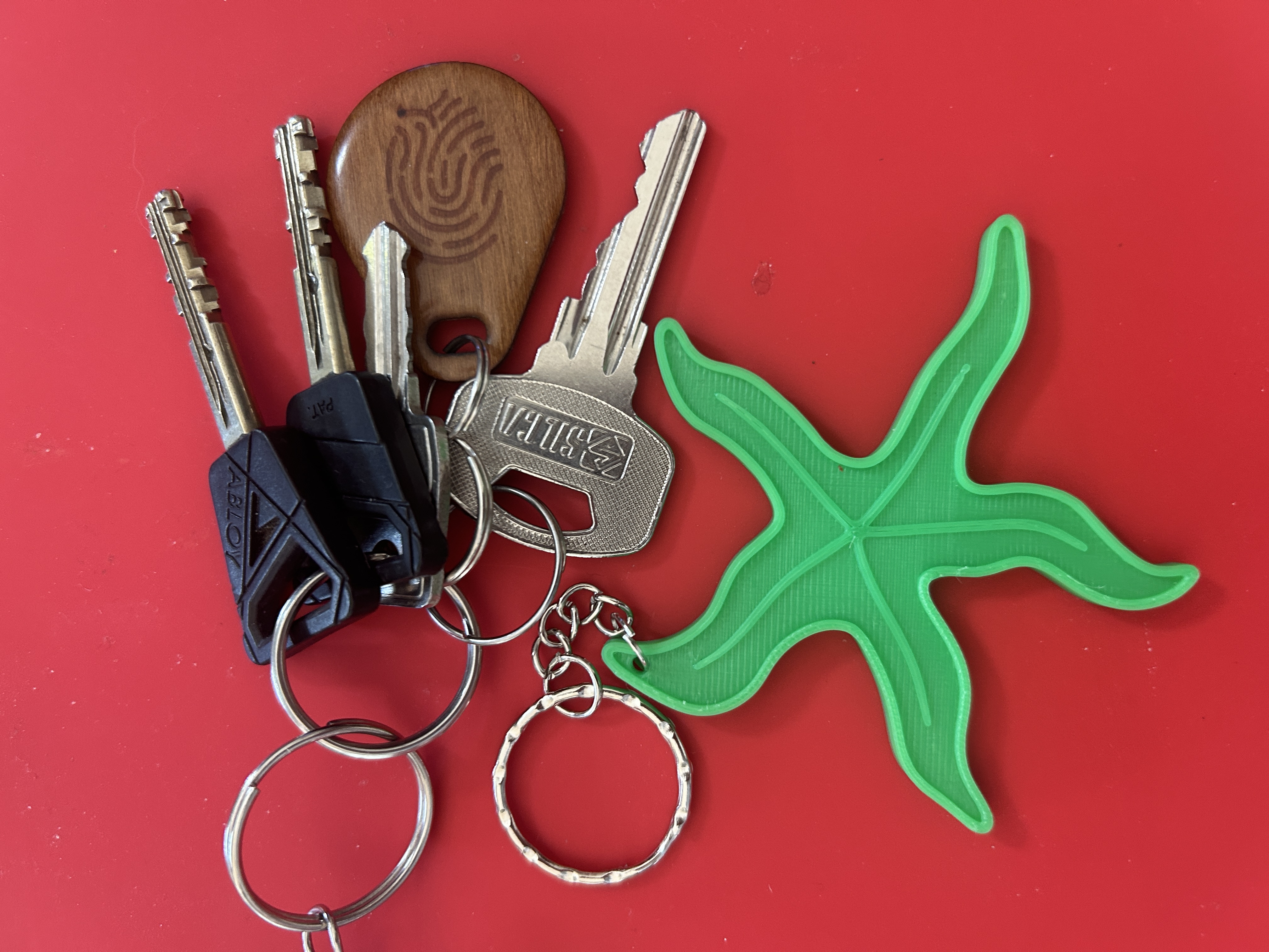 Minimalist Starfish Keychain – Hand-Drawn Style