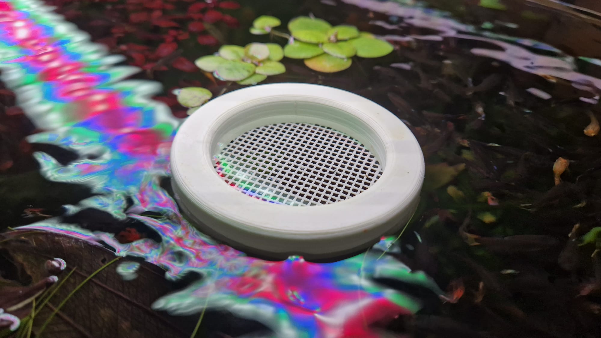 Floating feeder for tubifex worms