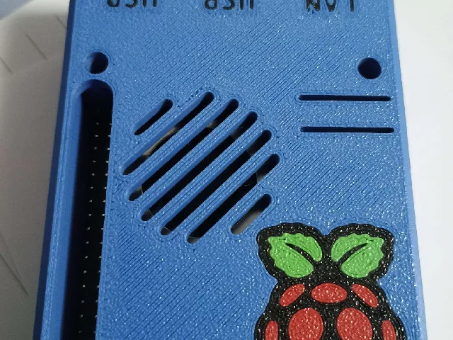 Raspberry Pi logo