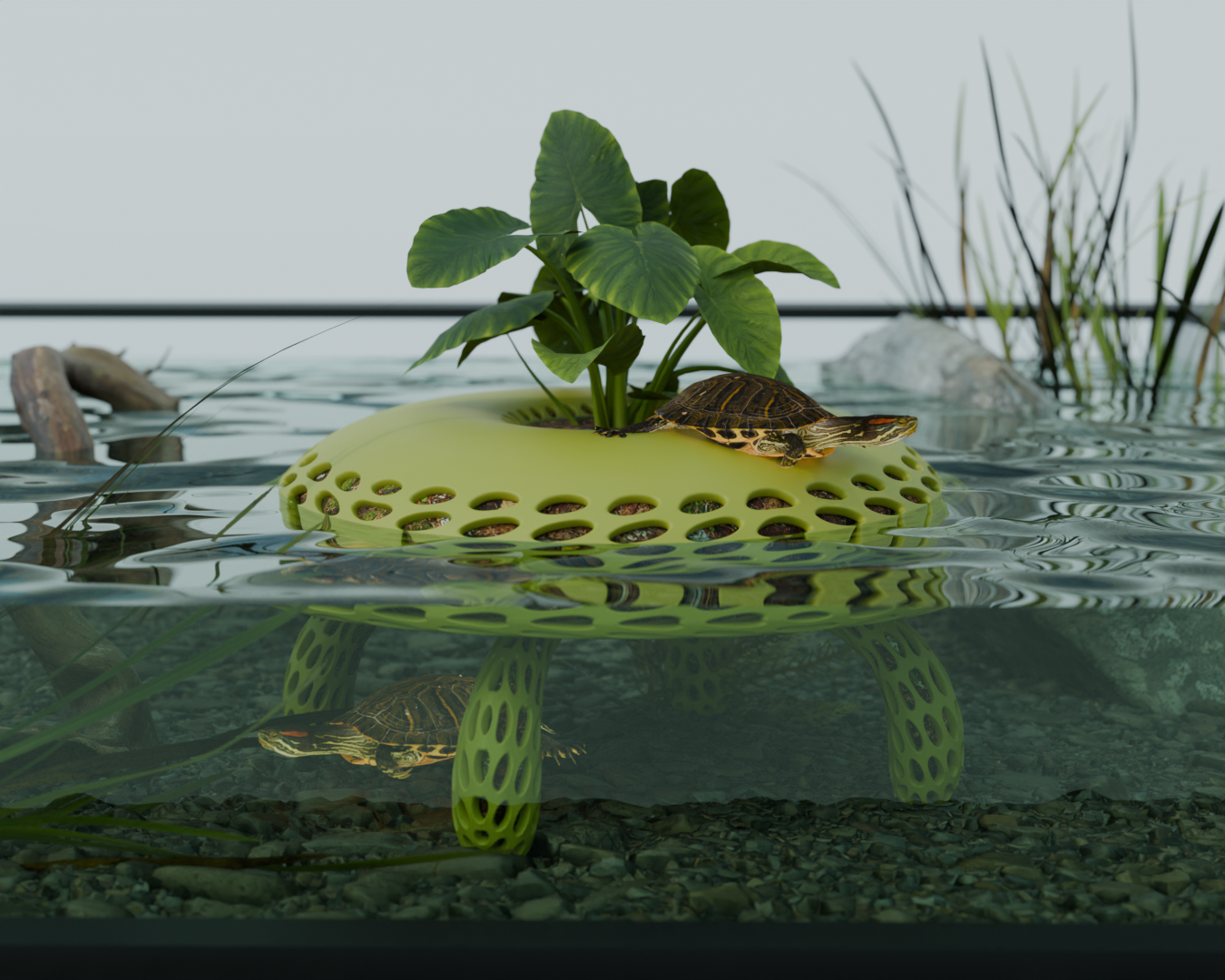Bio turtle island