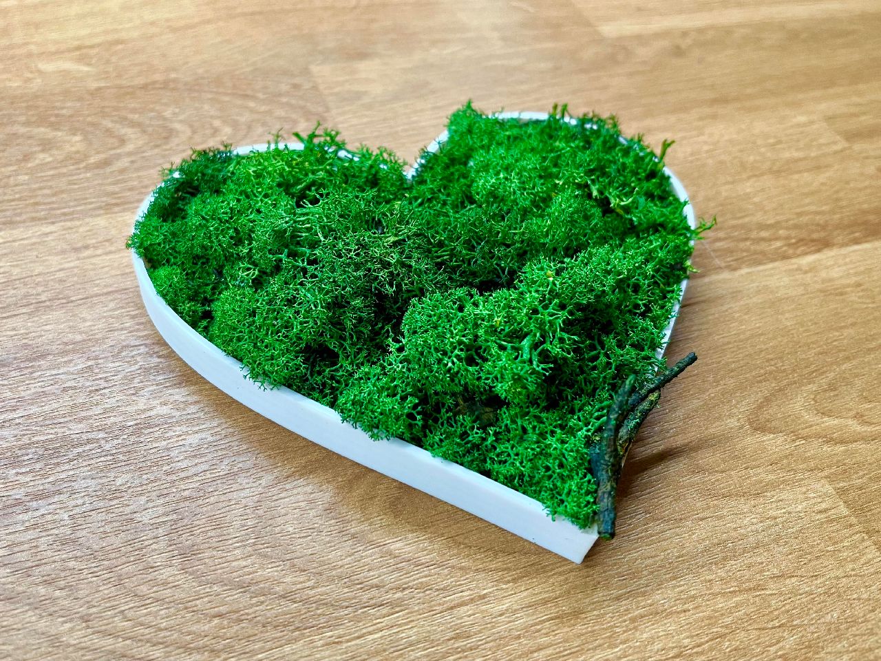 Yeşil Moss Heart (Sadece Plastik Aparattır!!!)