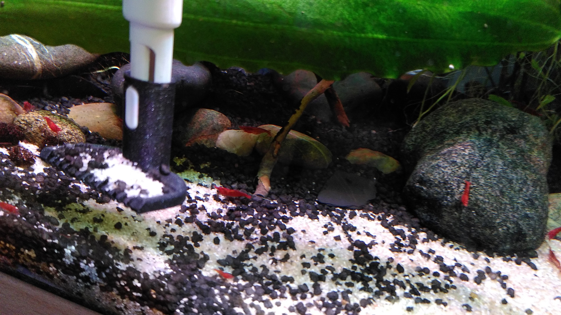 fish tank rake for Marina DeLuxe cleaning tool by Antimaterie ...