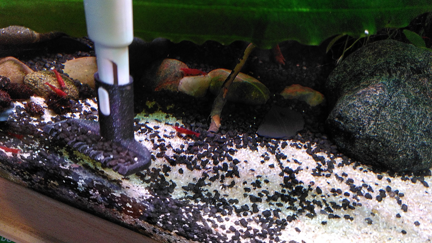 fish tank rake for Marina DeLuxe cleaning tool by Antimaterie ...