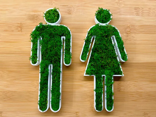 Green moss toilet sign