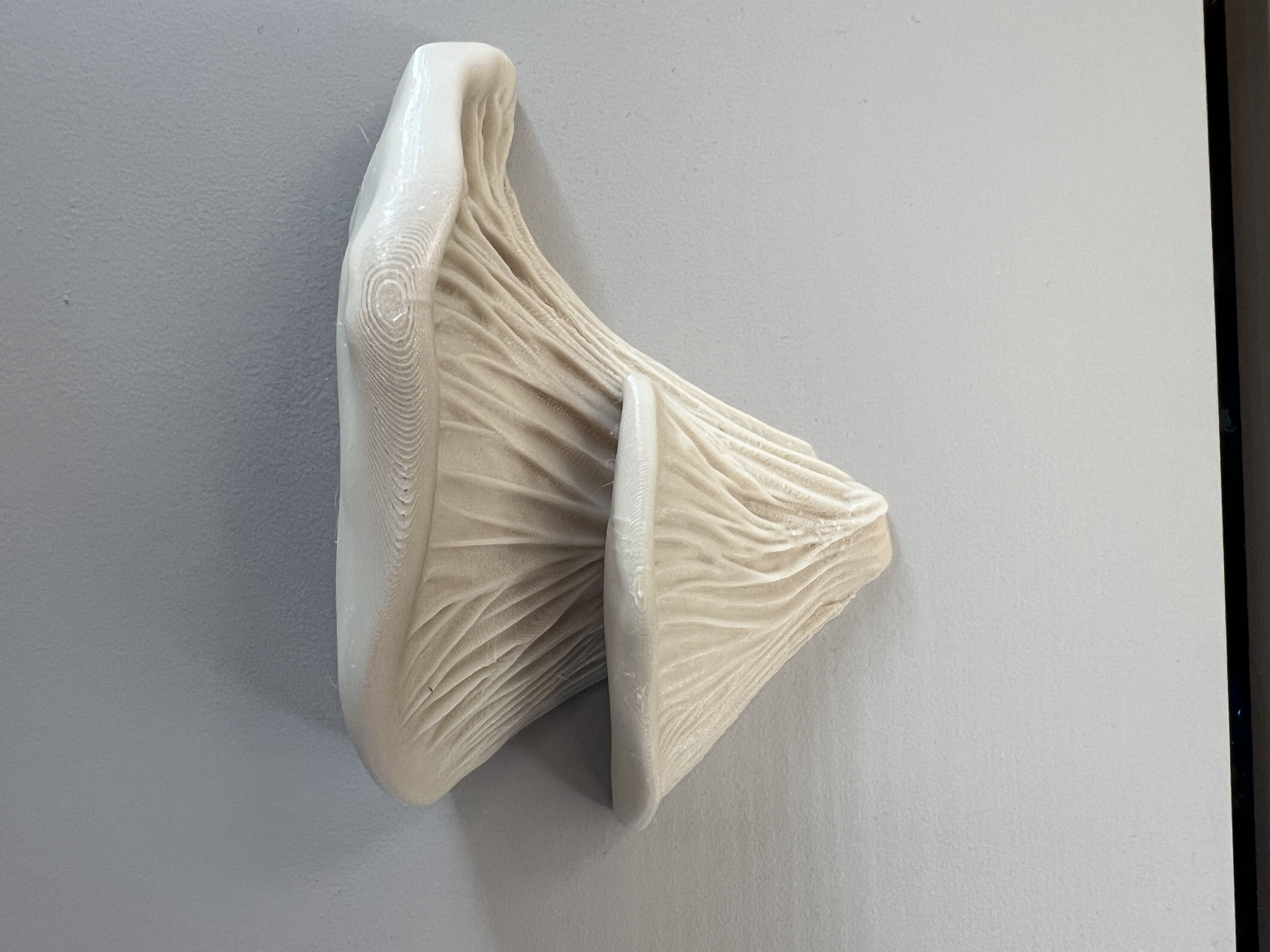 Tree fungus handle | Mushroom handle