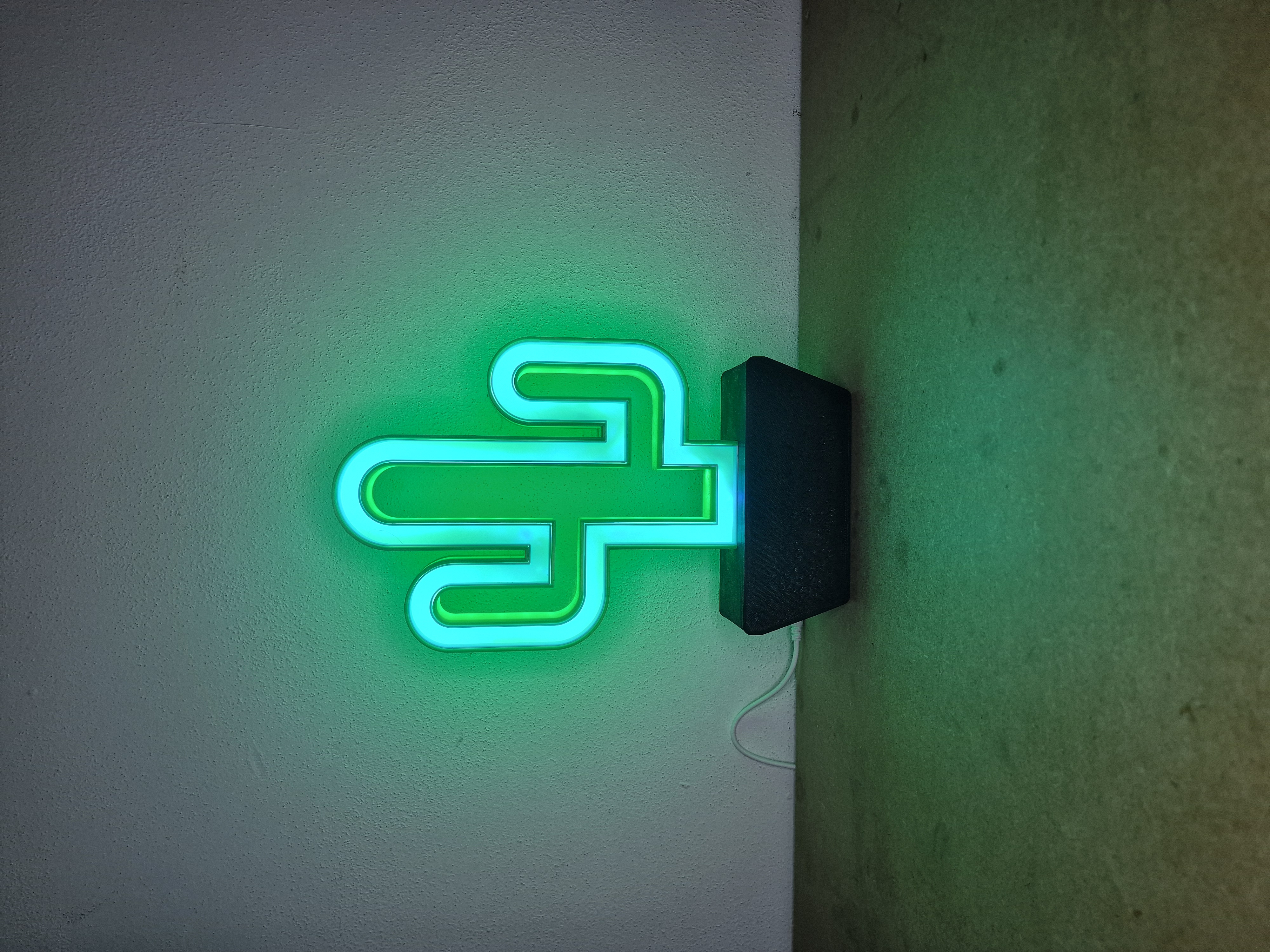 Cactus RGB LED Lamp – 12V Light with IR Remote