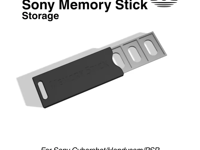 SONY Memory Stick storage case