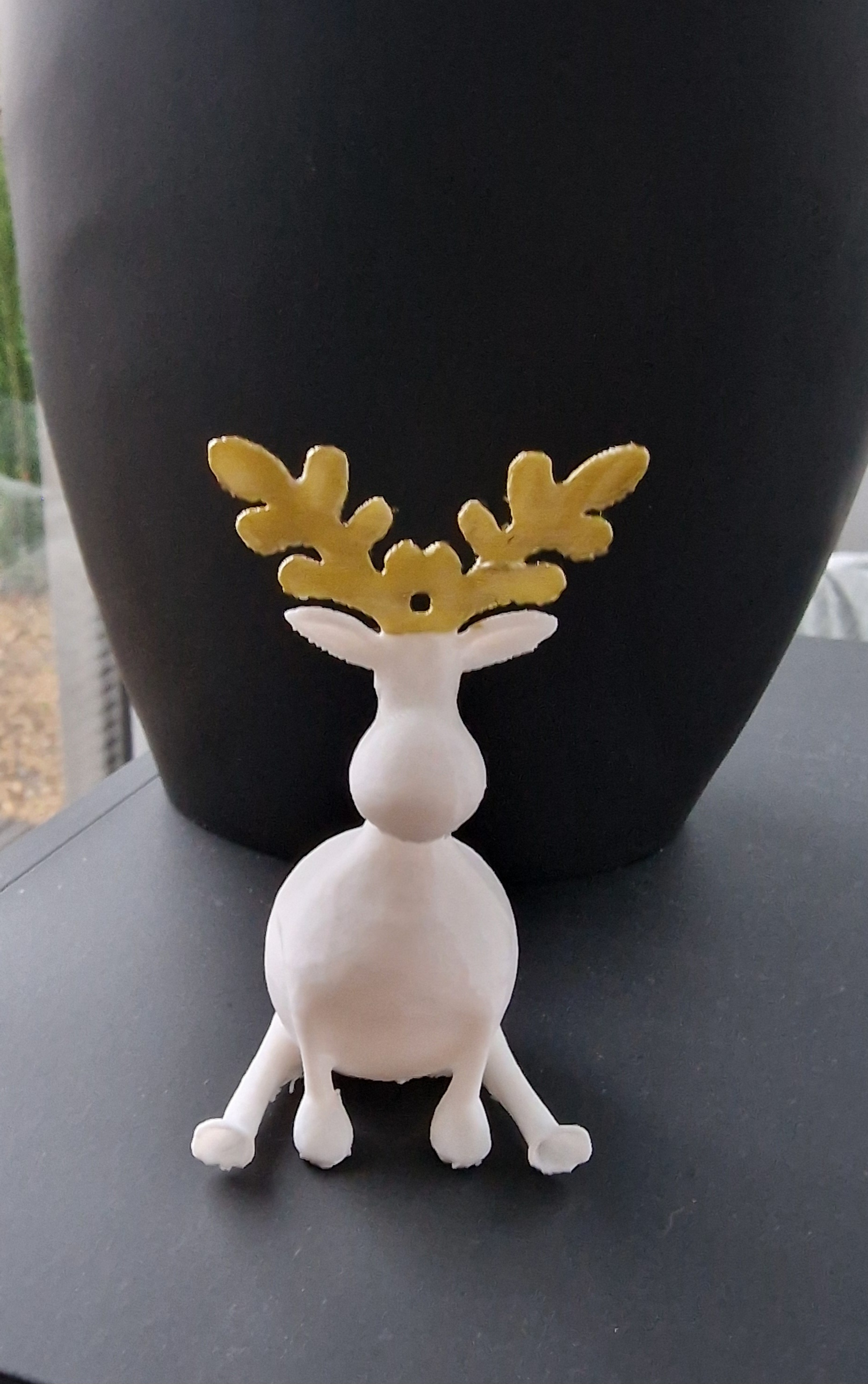 Moose