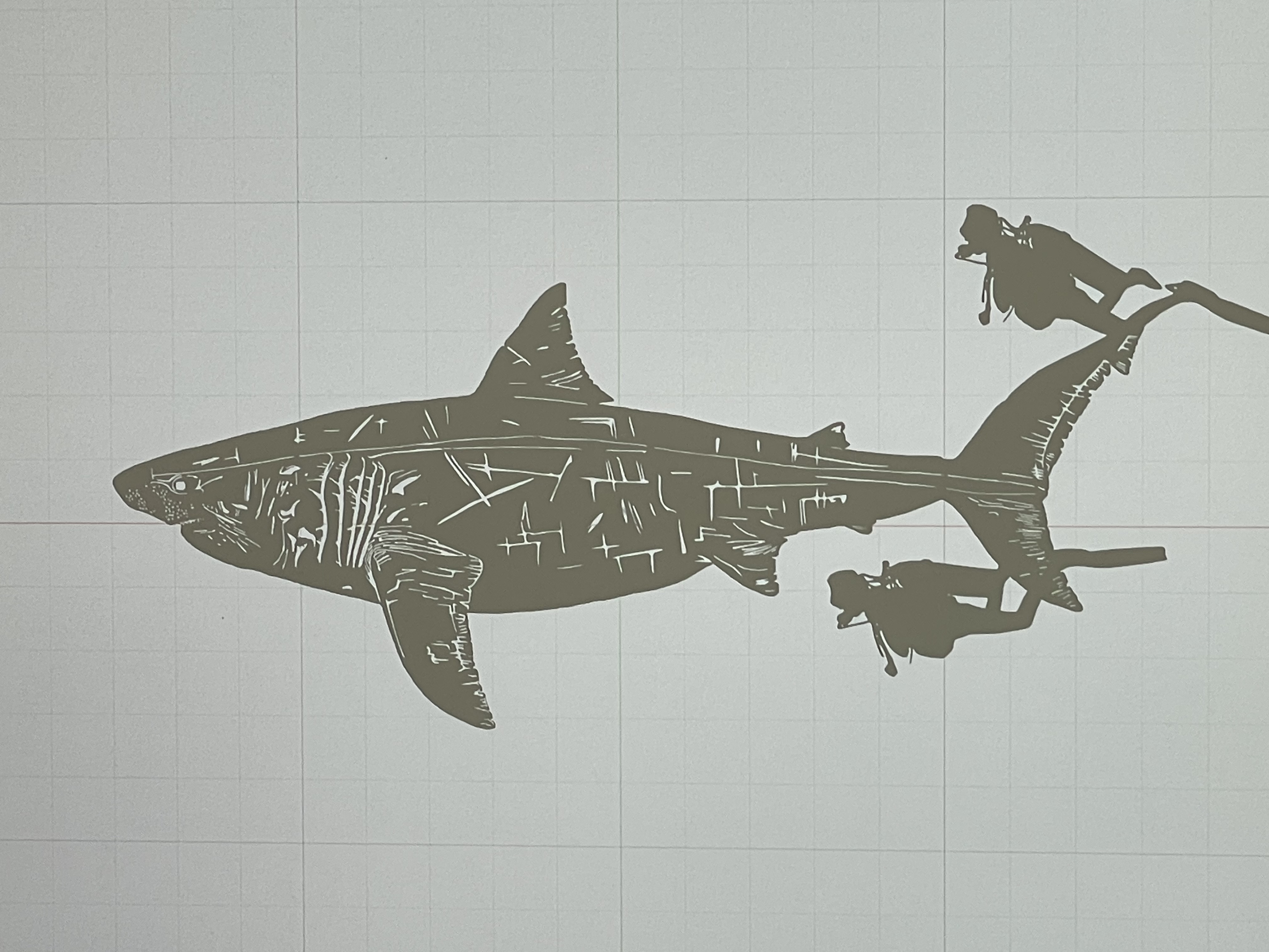 Great white shark Battle-scarred & scuba  divers wall art