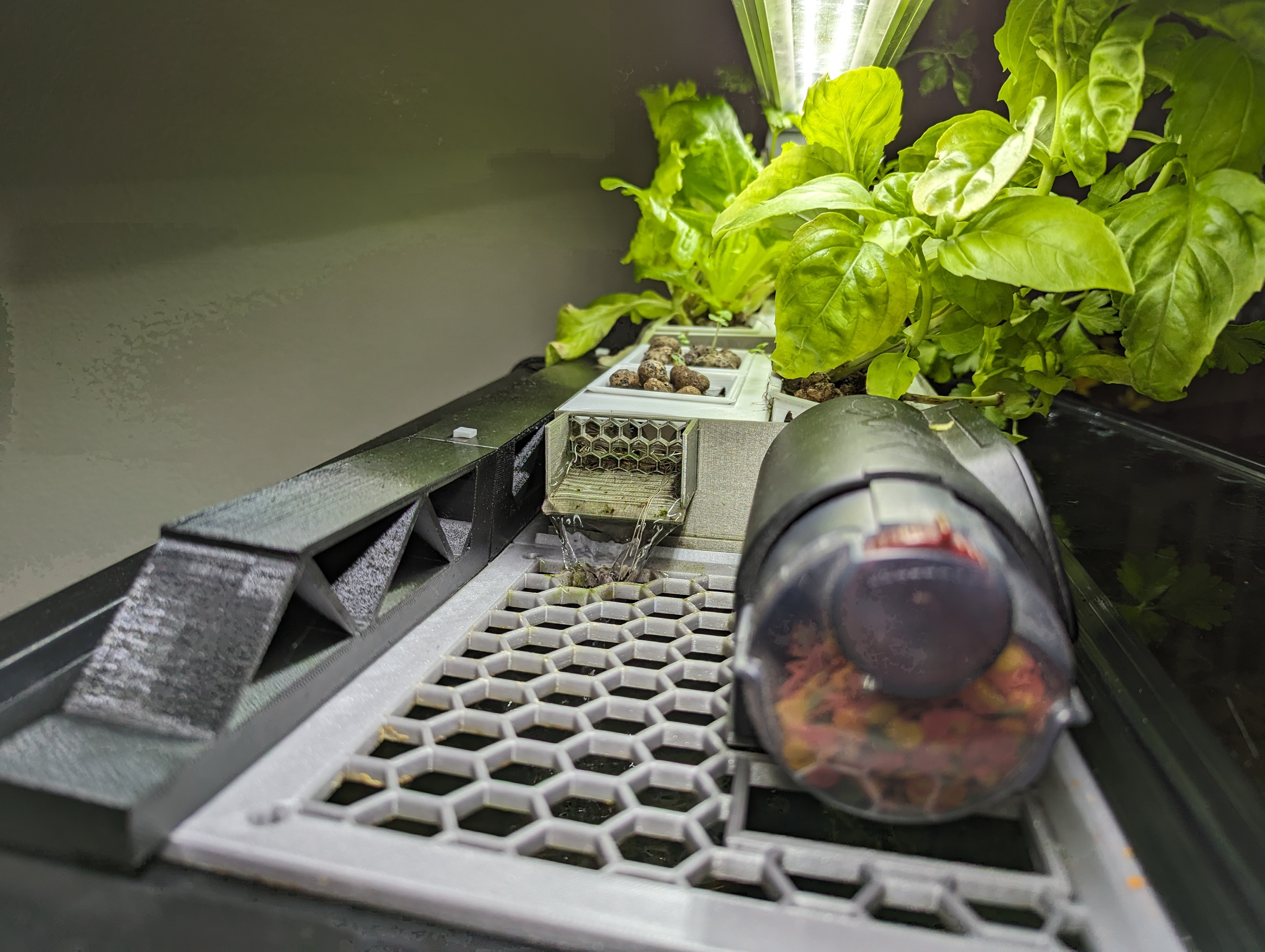 Aquaponics setup for Aqueon 72 bow front