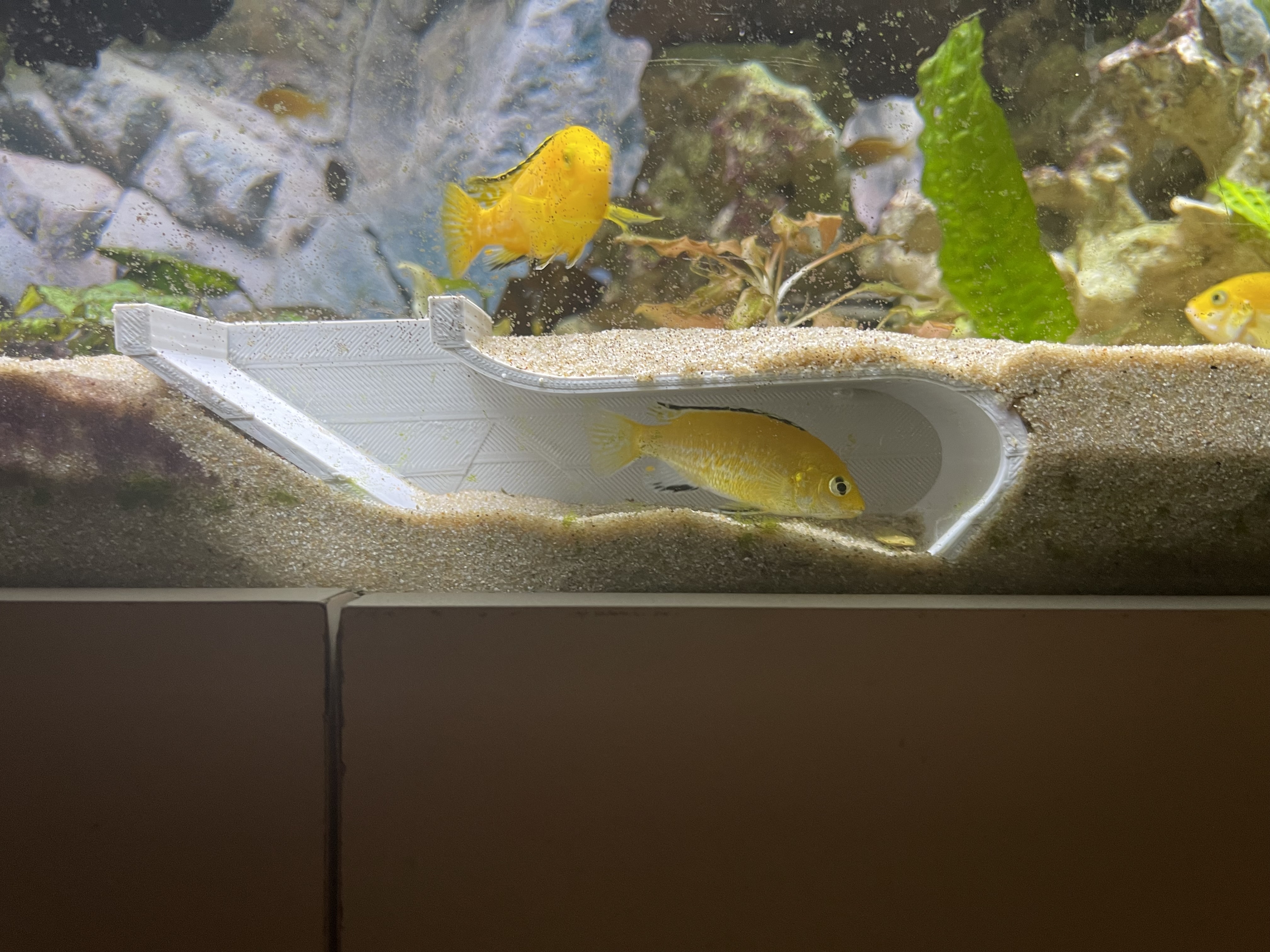 Underground fishcave 3 variants (for Big Fish V.2)