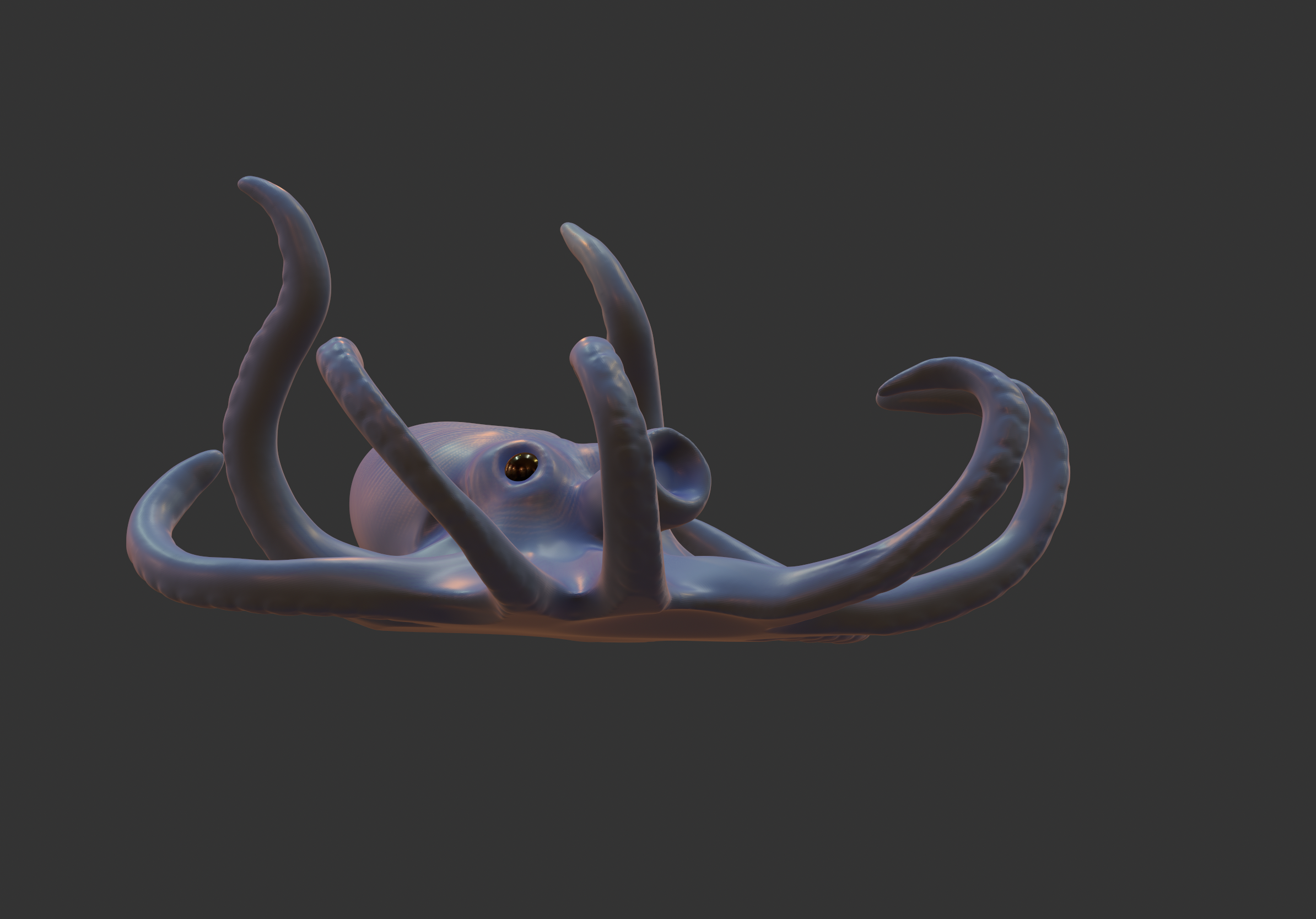 Octopus